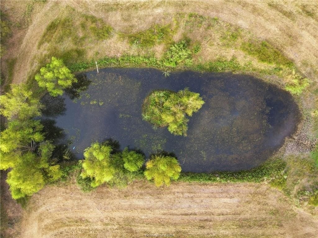 86.06 acres in Brazos County - photo 12