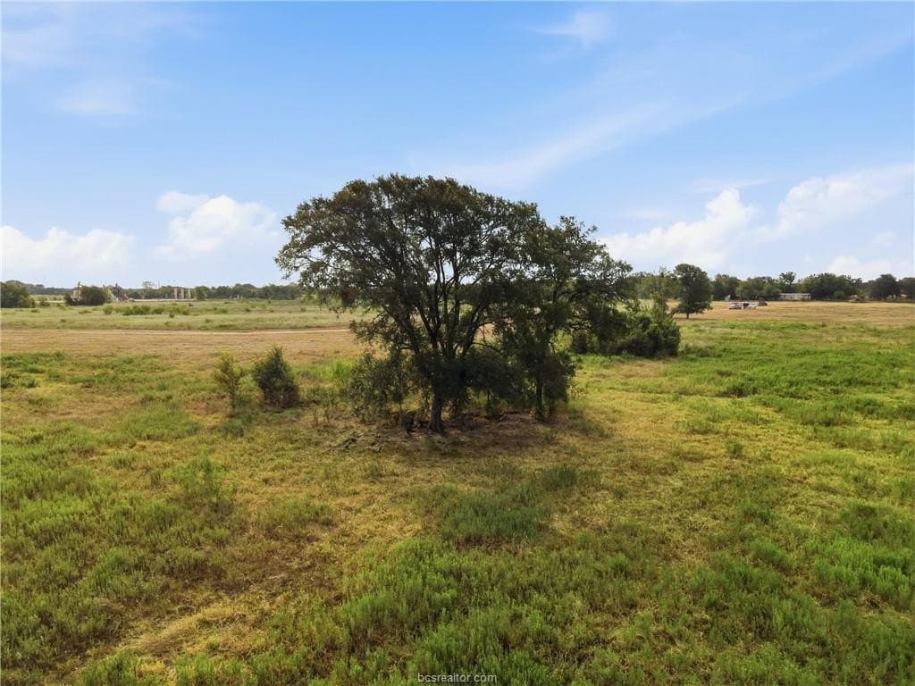 86.06 acres in Brazos County - photo 11