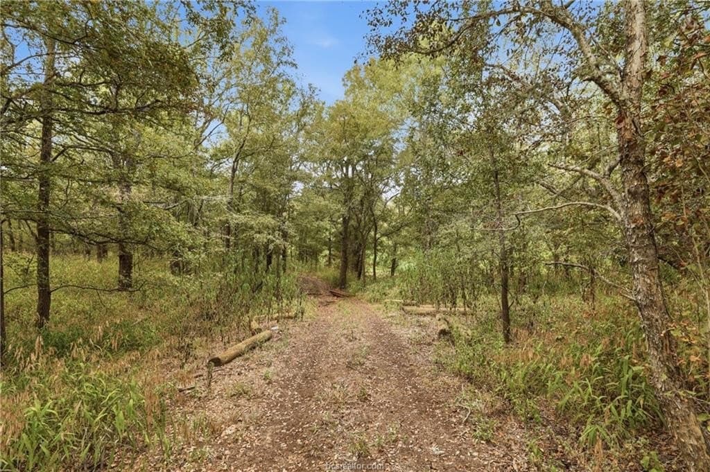 86.06 acres in Brazos County - photo 23
