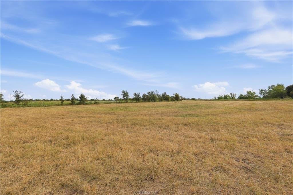 86.06 acres in Brazos County - photo 6