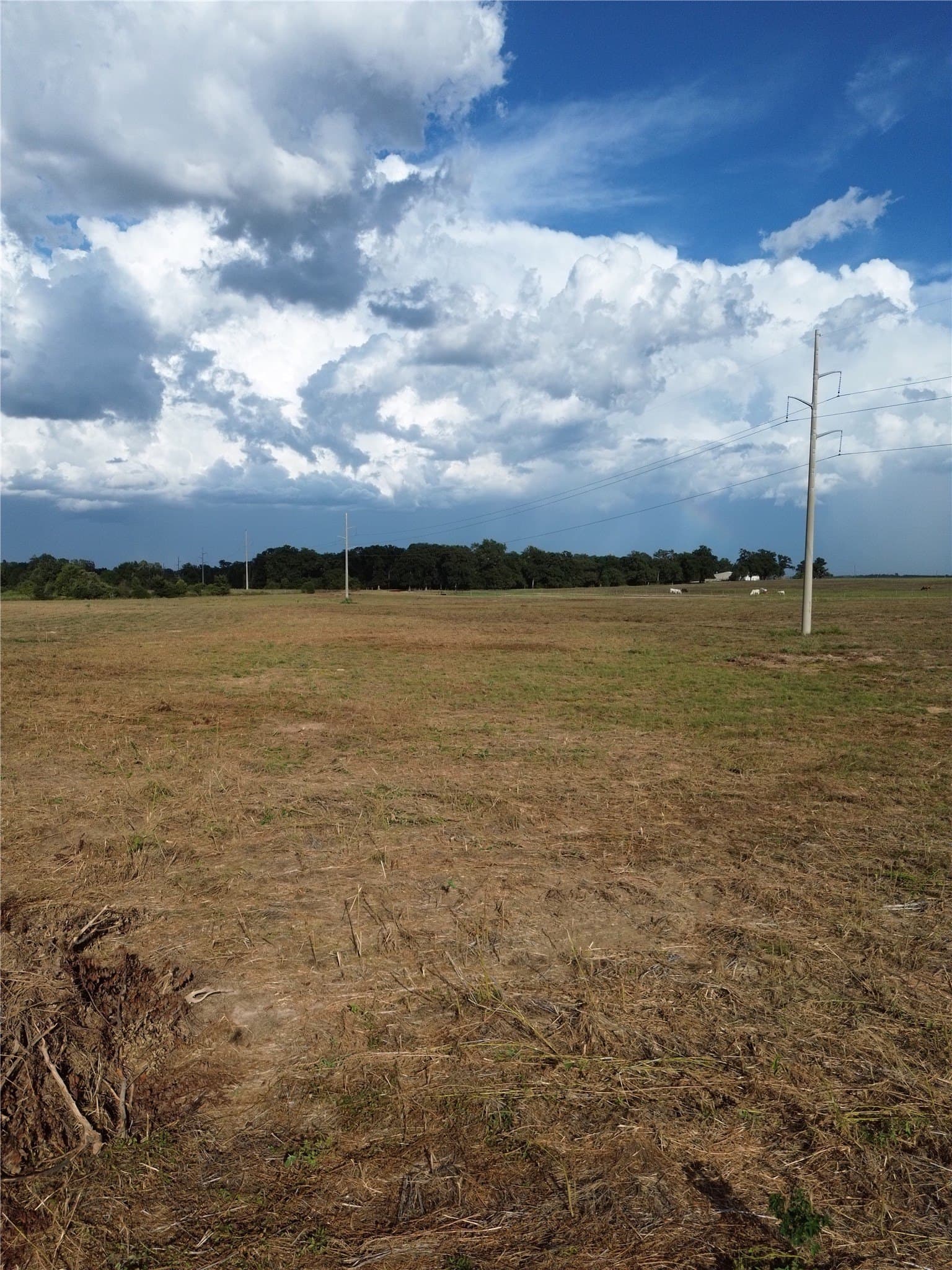 4.74 acres in Robertson County - photo 3
