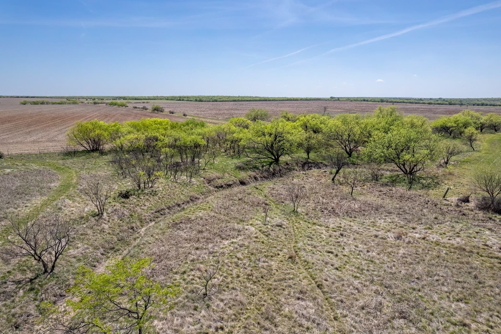 189 acres in Coleman County - photo 7