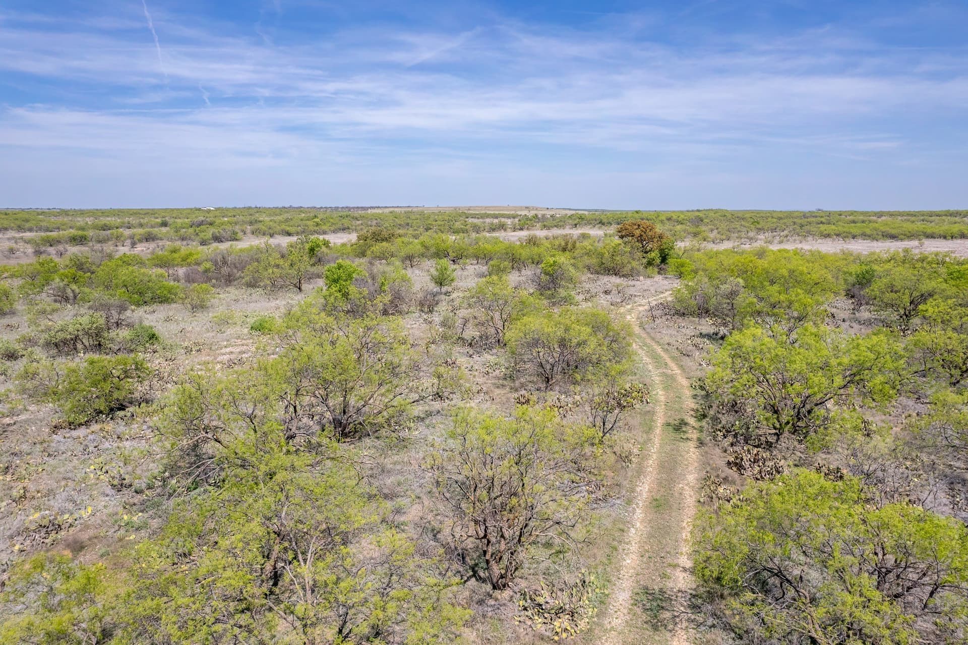 189 acres in Coleman County - photo 18