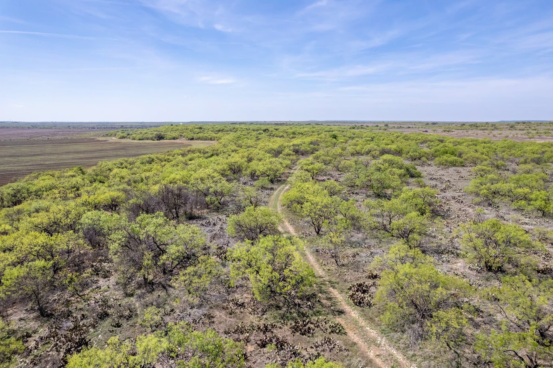 189 acres in Coleman County gallery image 3