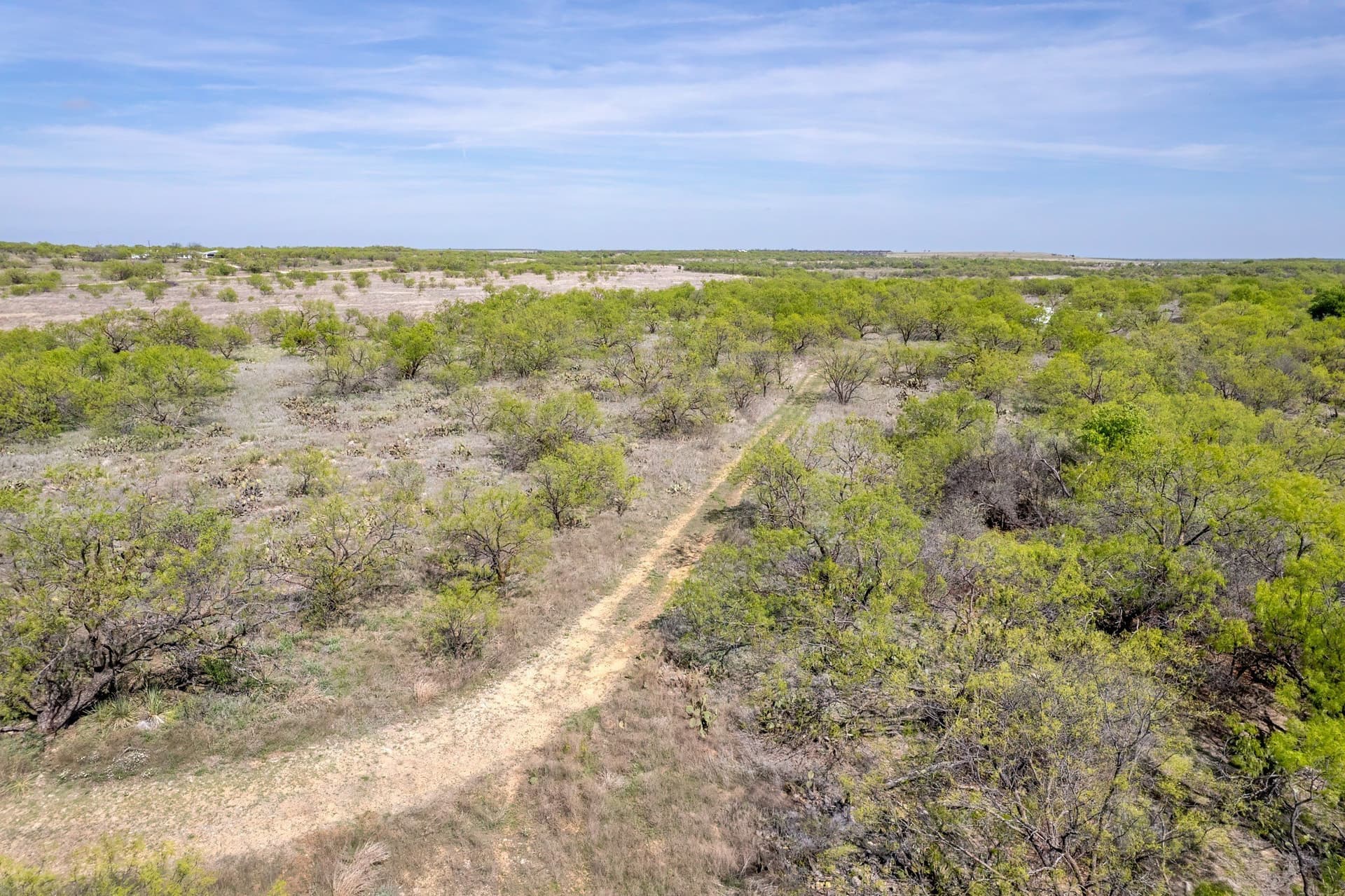 189 acres in Coleman County - photo 17