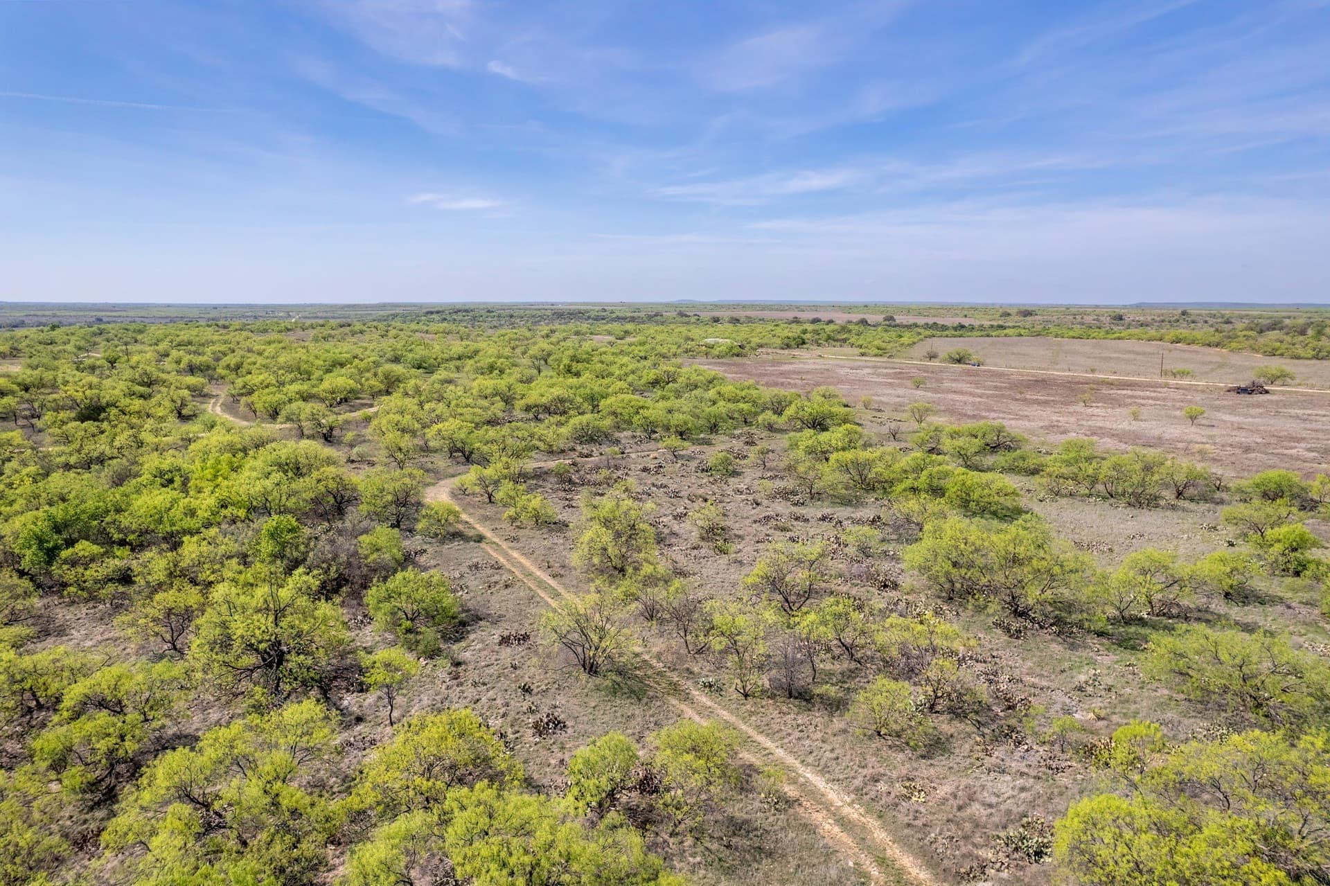 189 acres in Coleman County - photo 6