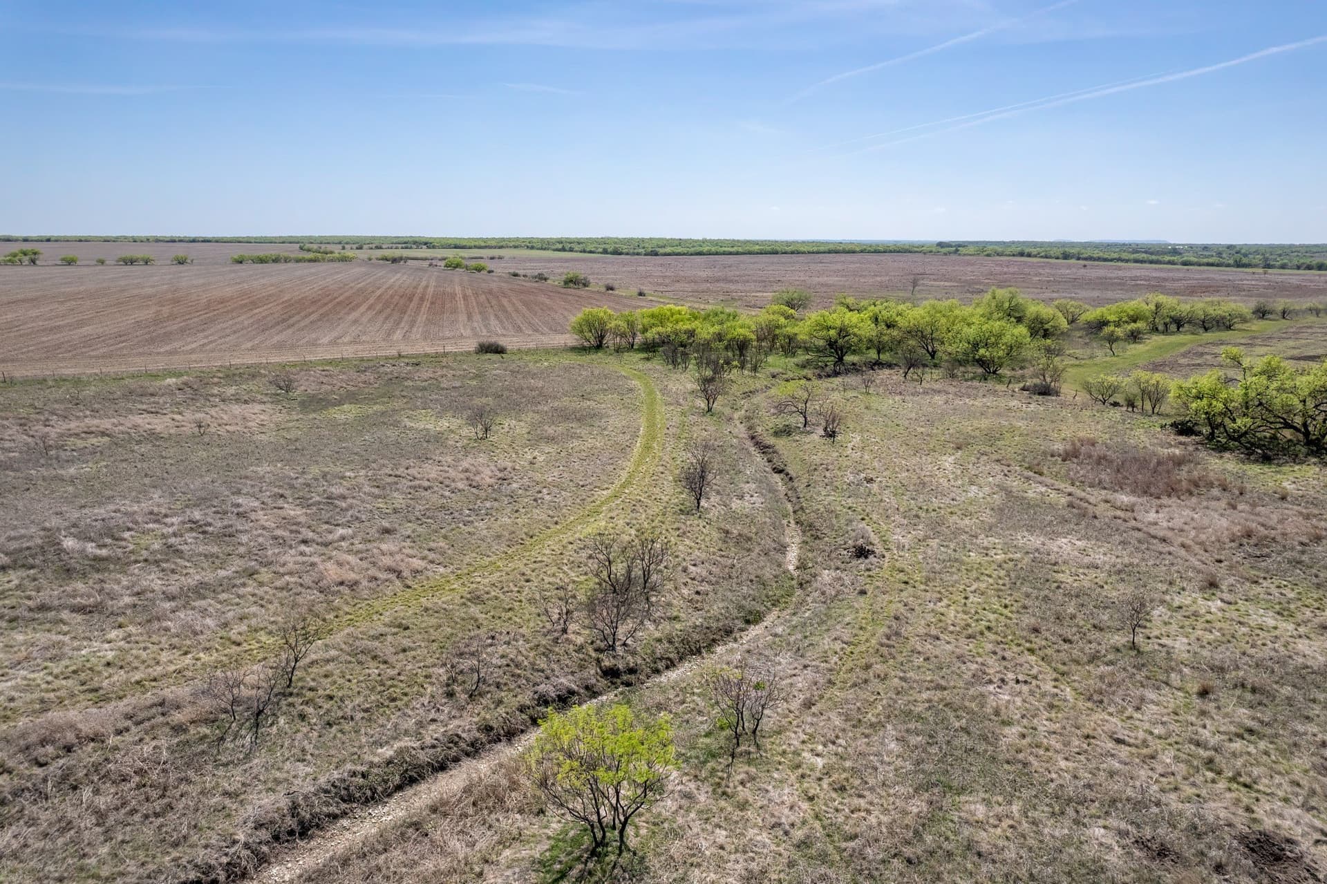 189 acres in Coleman County - photo 20