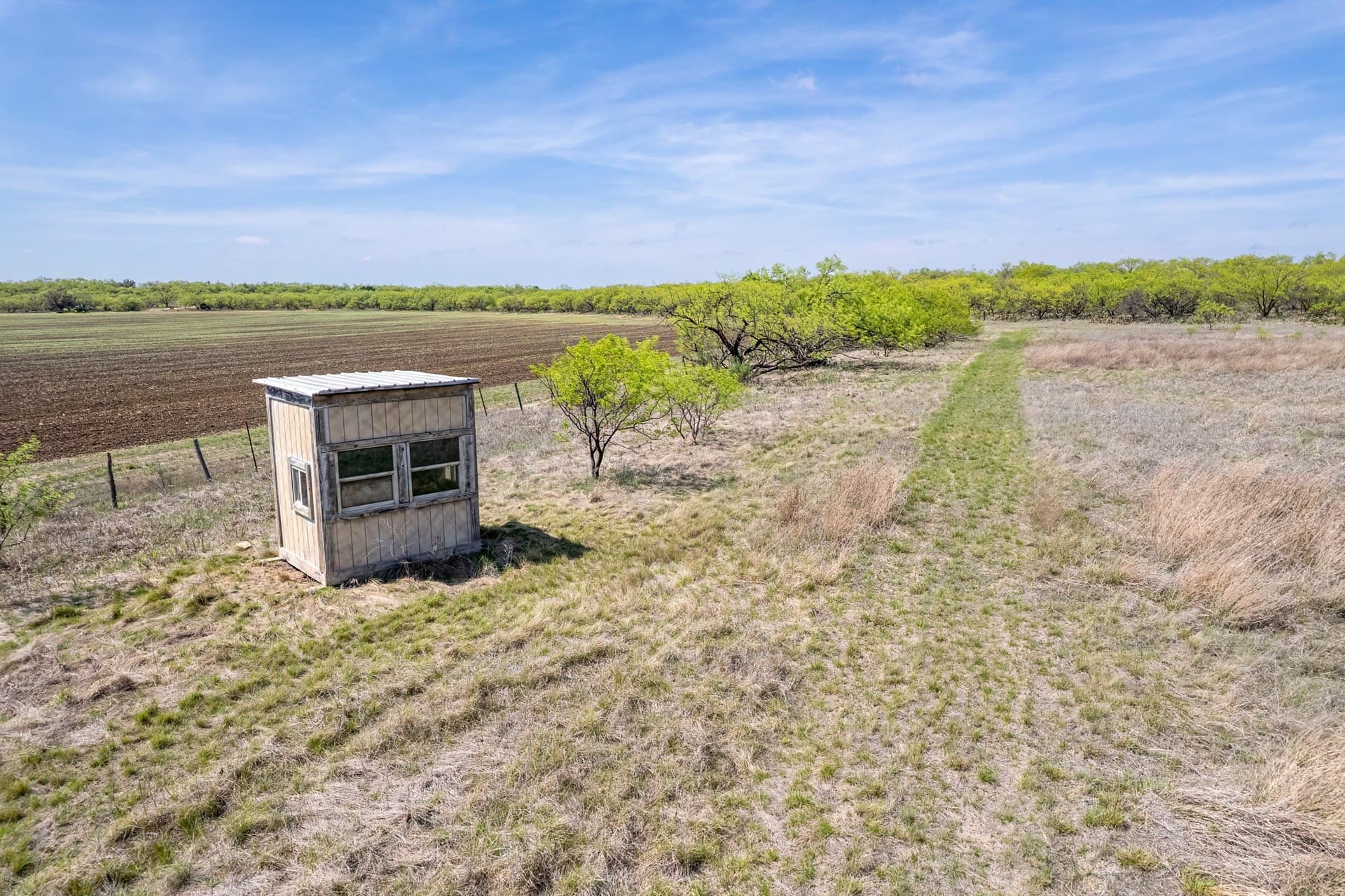 189 acres in Coleman County - photo 25