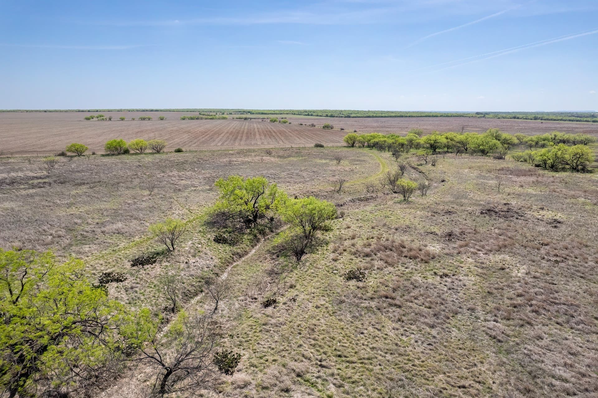 189 acres in Coleman County - photo 19