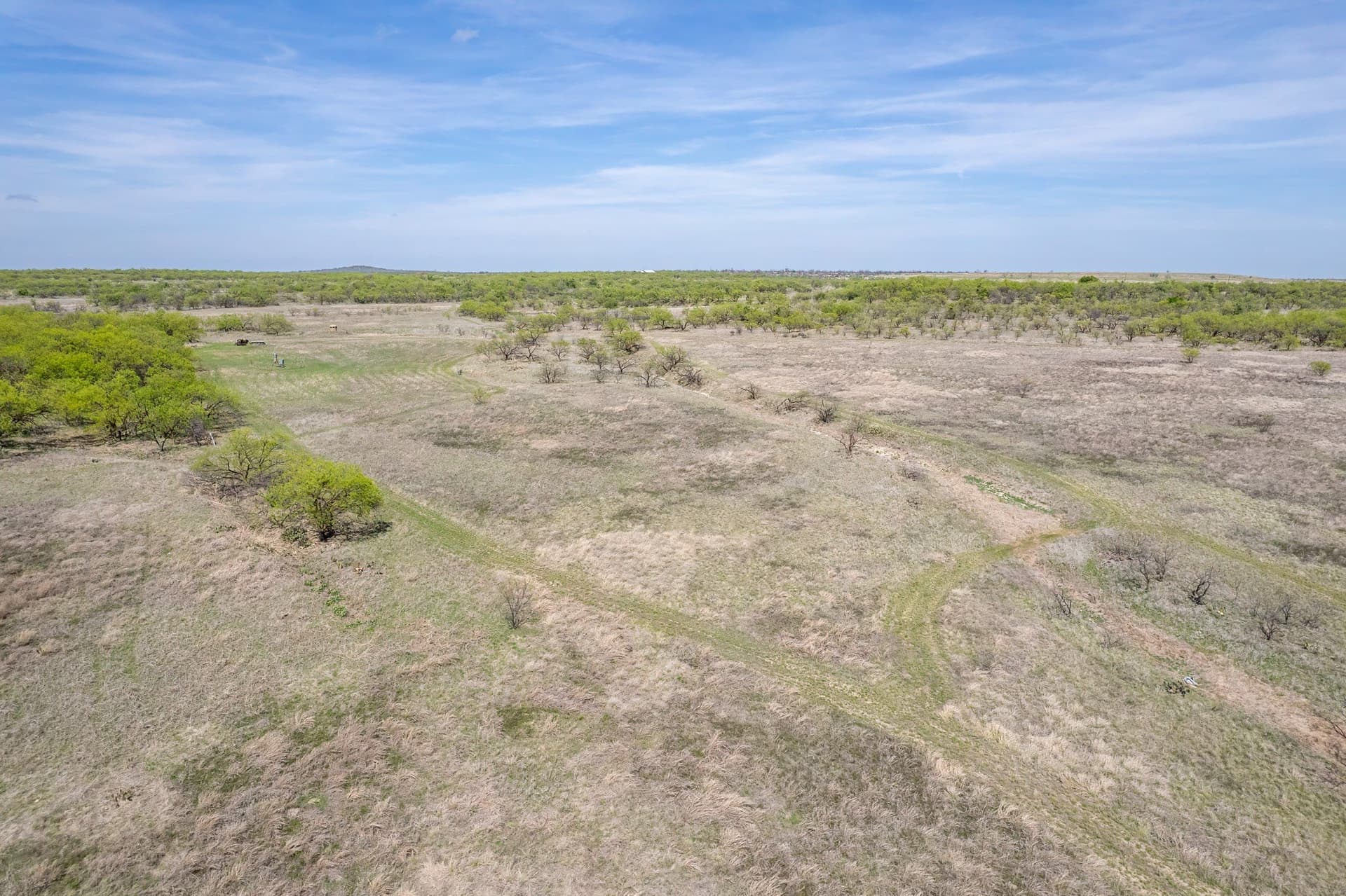 189 acres in Coleman County - photo 22