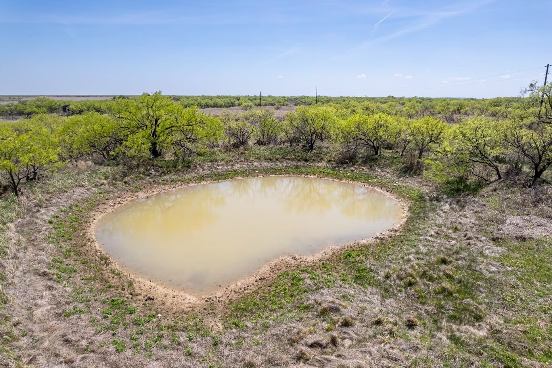 189 acres in Coleman County - photo 8