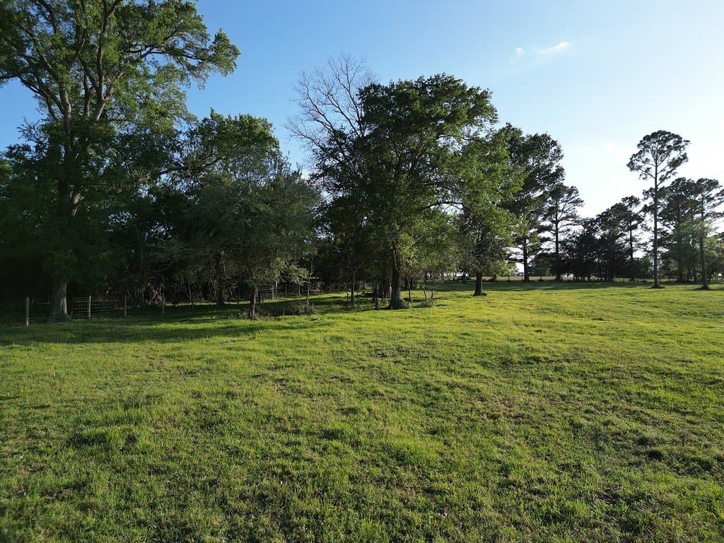 25 acres in Washington County gallery image 3