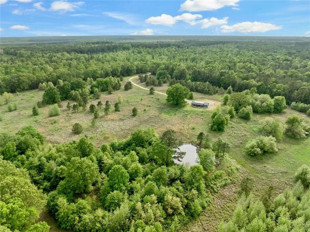 85.55 acres in Red River (TX) County gallery image 4