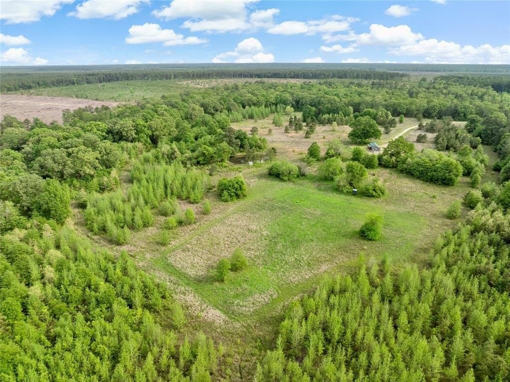 85.55 acres in Red River (TX) County featured view