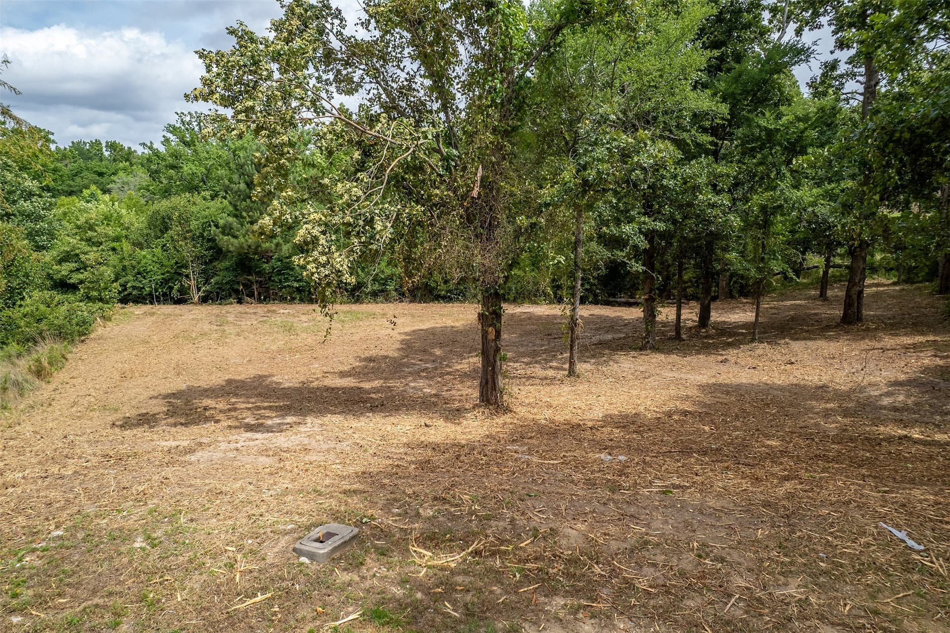 0.43 acres in Smith County gallery image 3