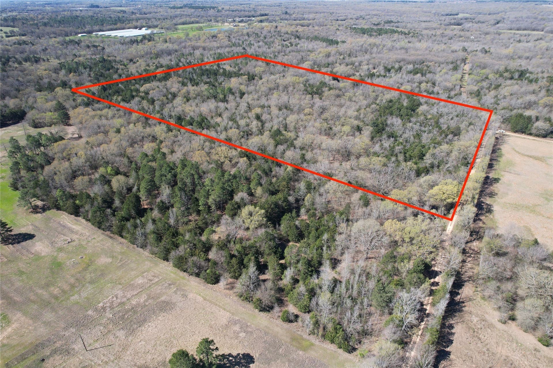 21.07 acres in Wood County - photo 9