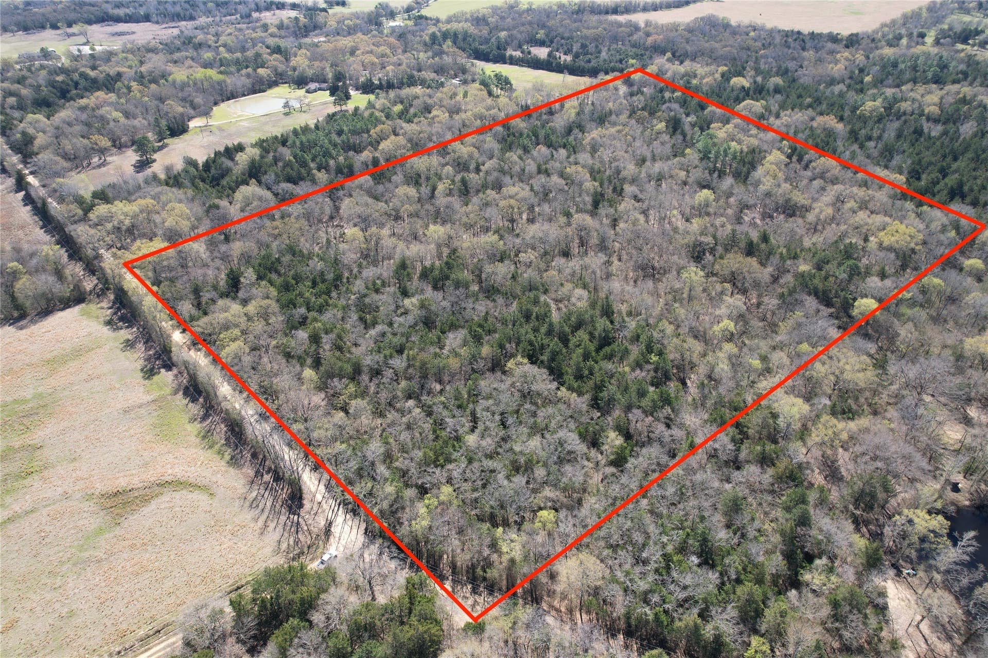 21.07 acres in Wood County - photo 26