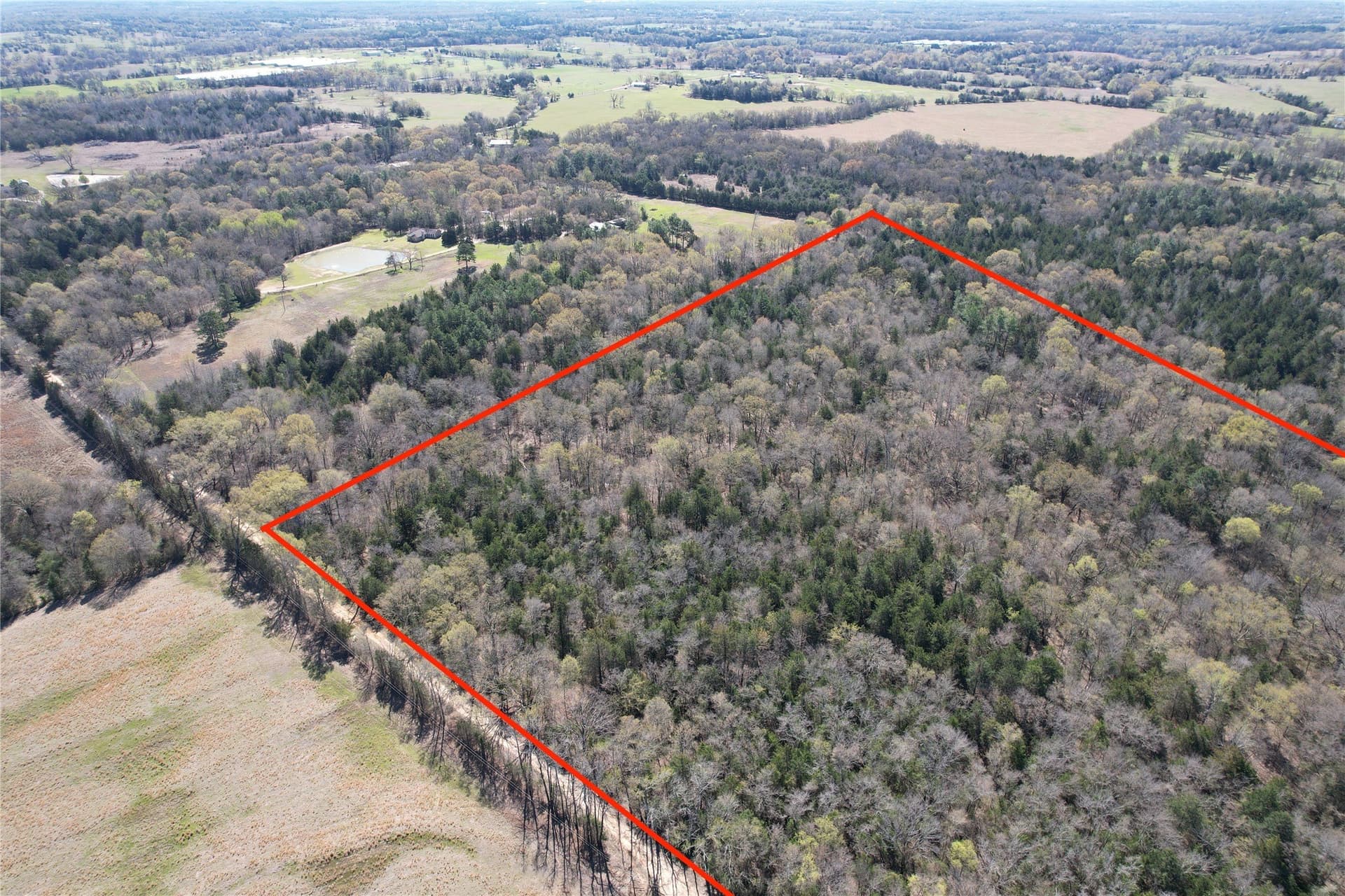 21.07 acres in Wood County - photo 3