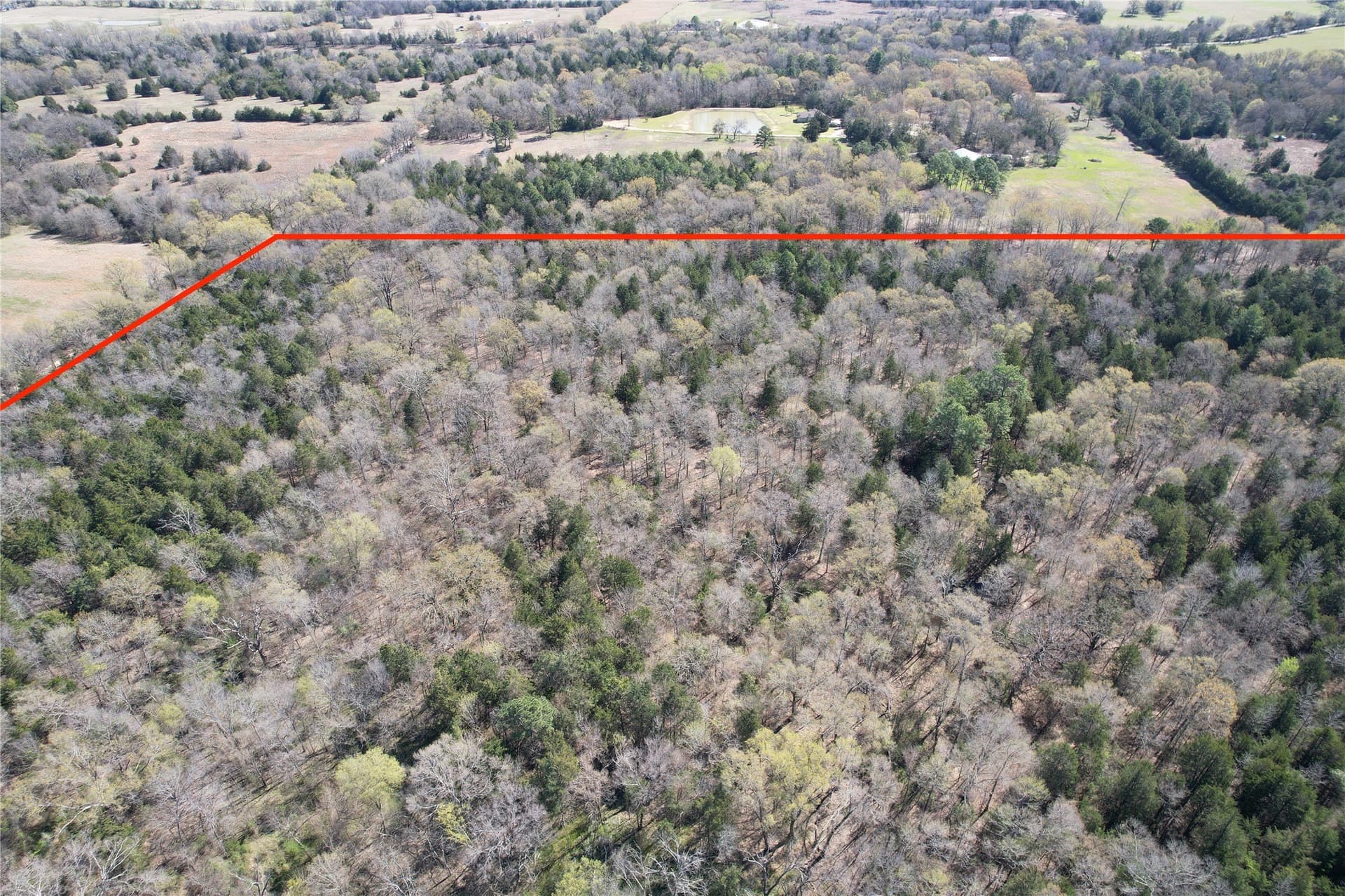 21.07 acres in Wood County - photo 22