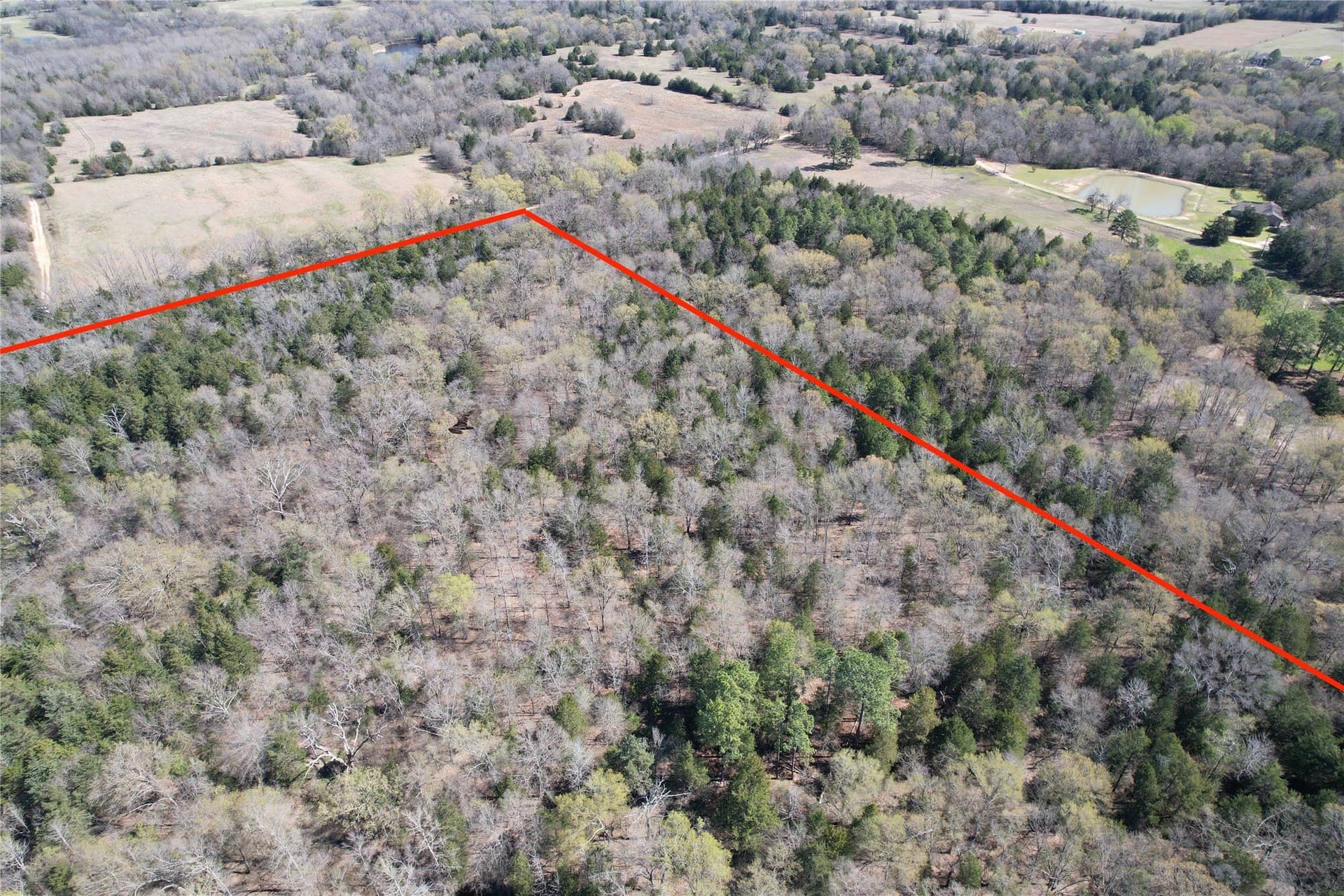 21.07 acres in Wood County - photo 21