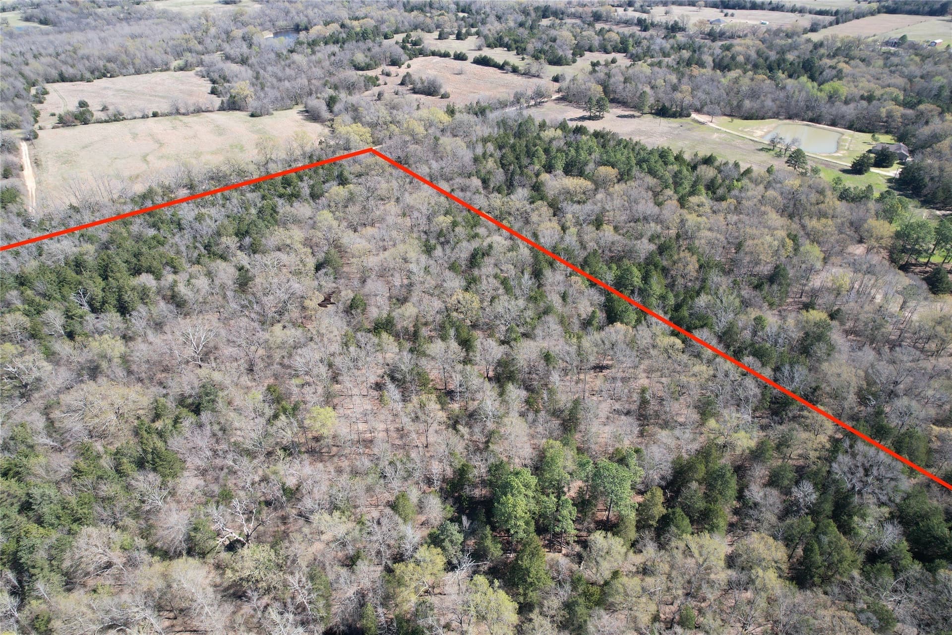 21.07 acres in Wood County - photo 20