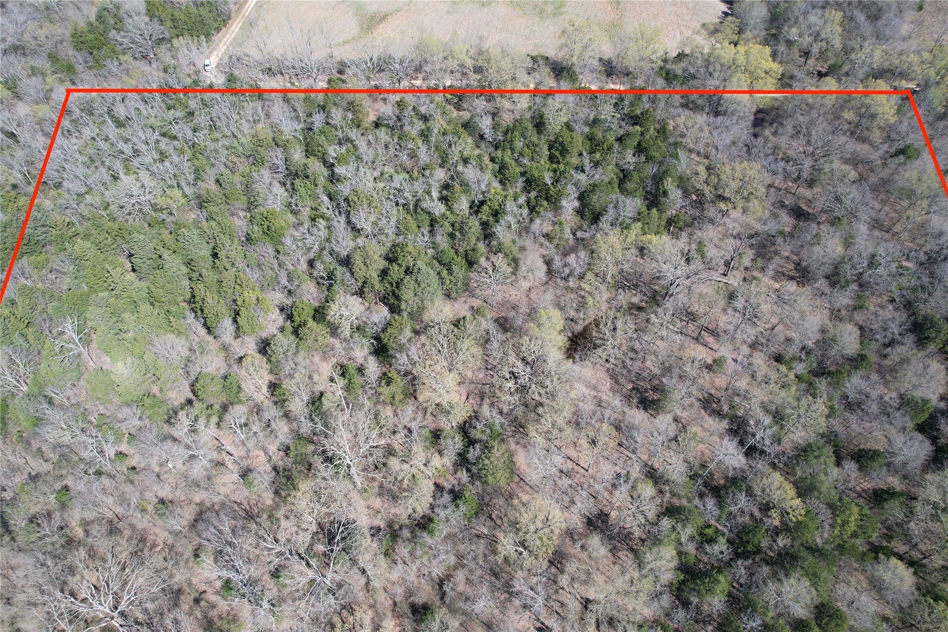 21.07 acres in Wood County - photo 29