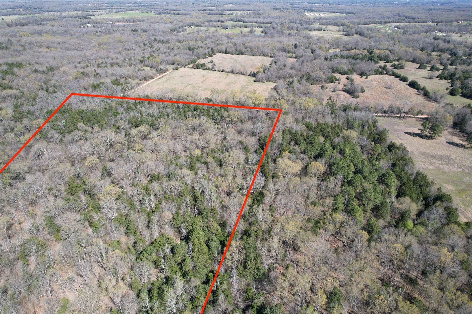 21.07 acres in Wood County - photo 13