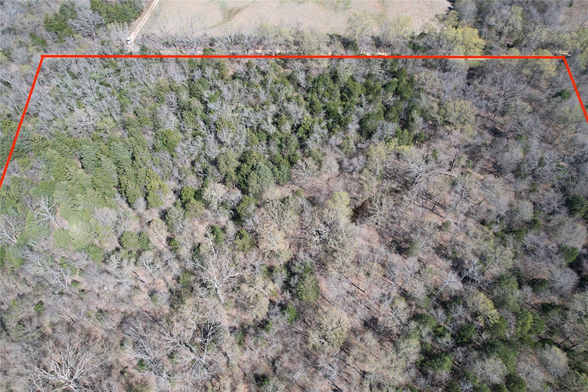21.07 acres in Wood County - photo 28
