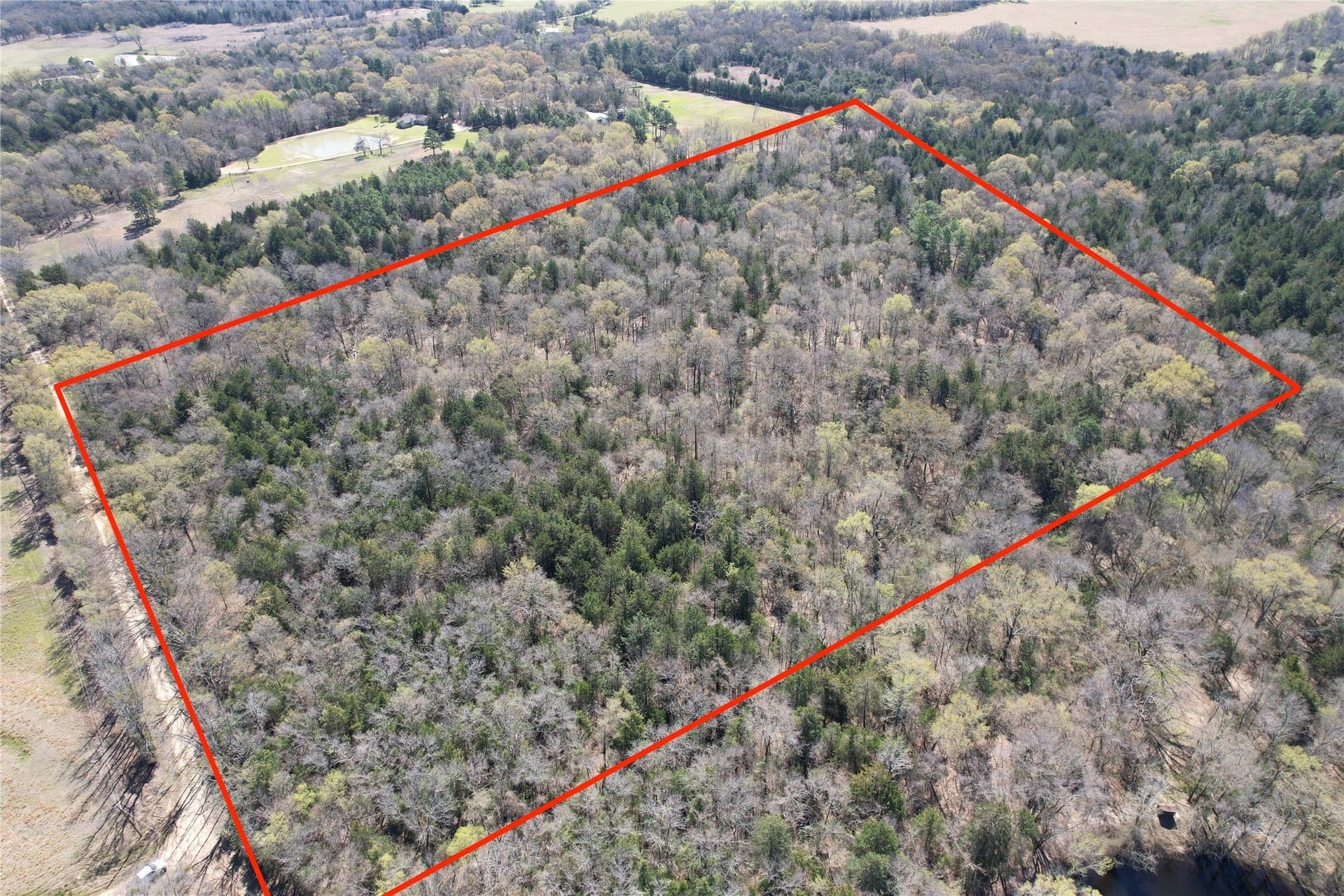 21.07 acres in Wood County - photo 25