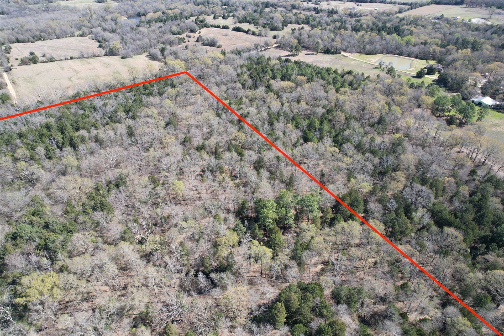 21.07 acres in Wood County - photo 18