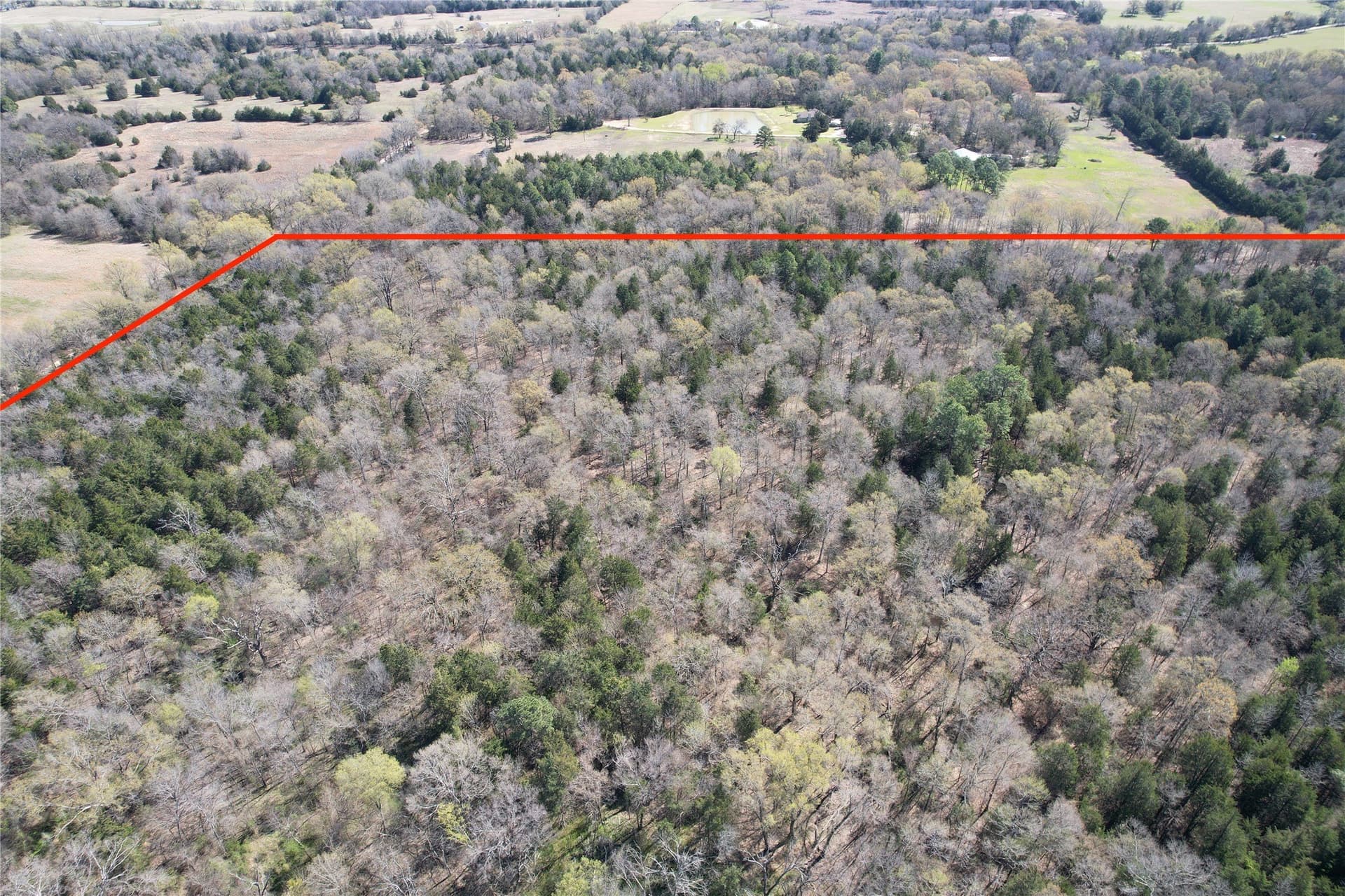 21.07 acres in Wood County - photo 23