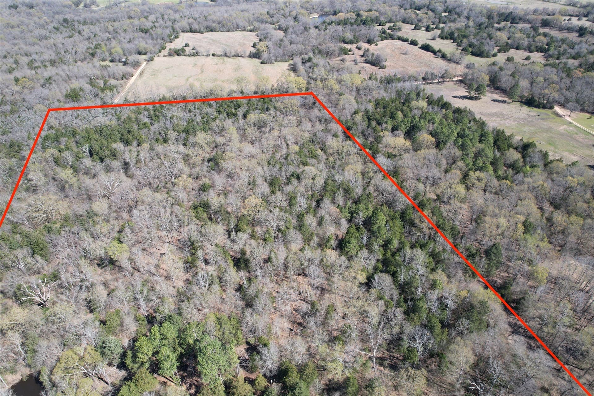 21.07 acres in Wood County - photo 16