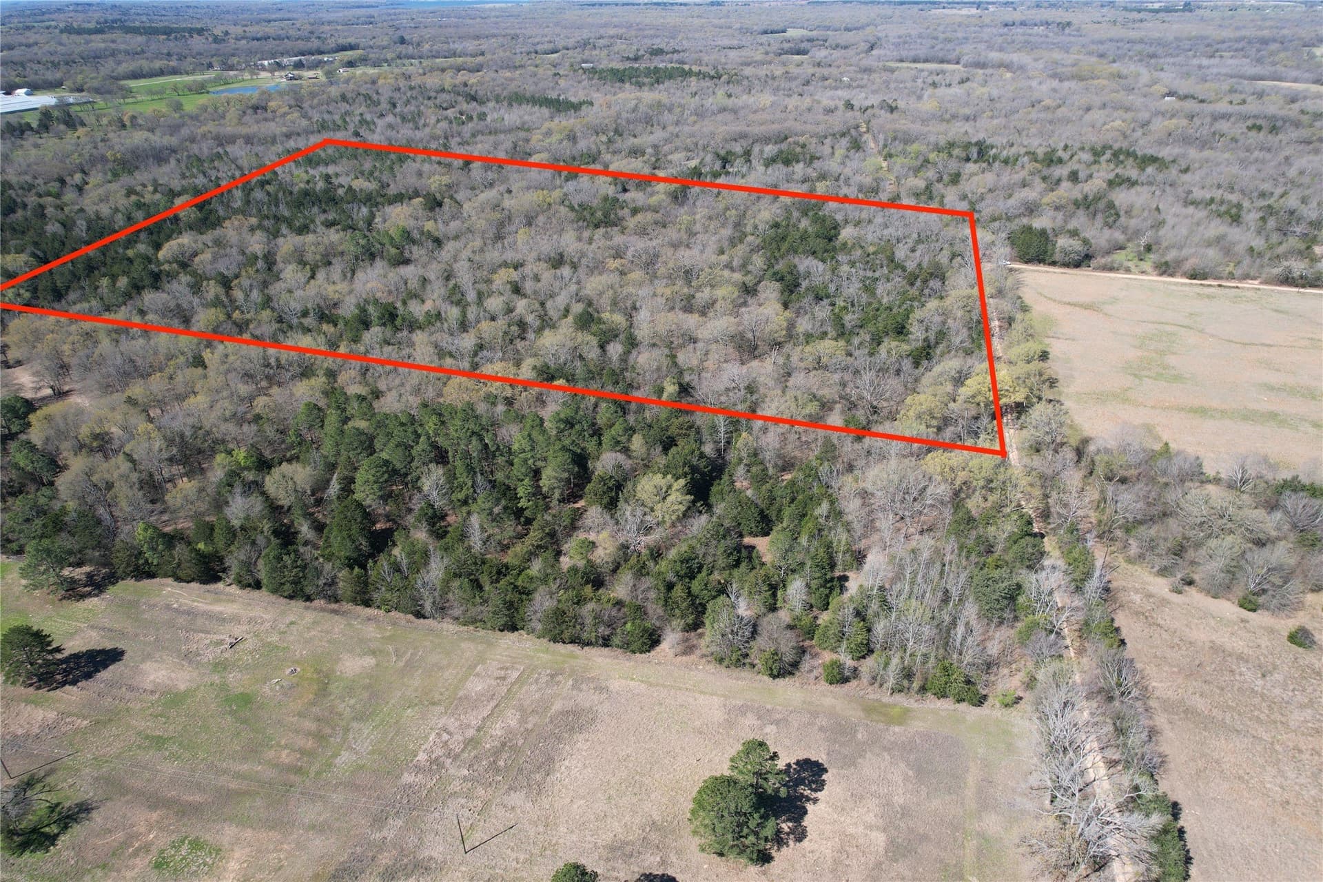 21.07 acres in Wood County - photo 10