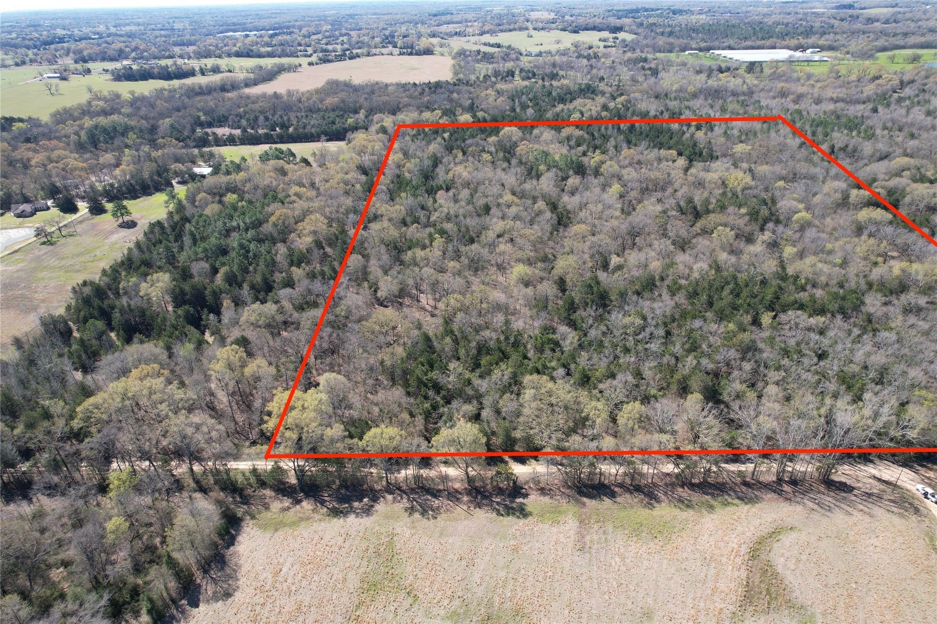 21.07 acres in Wood County - photo 6