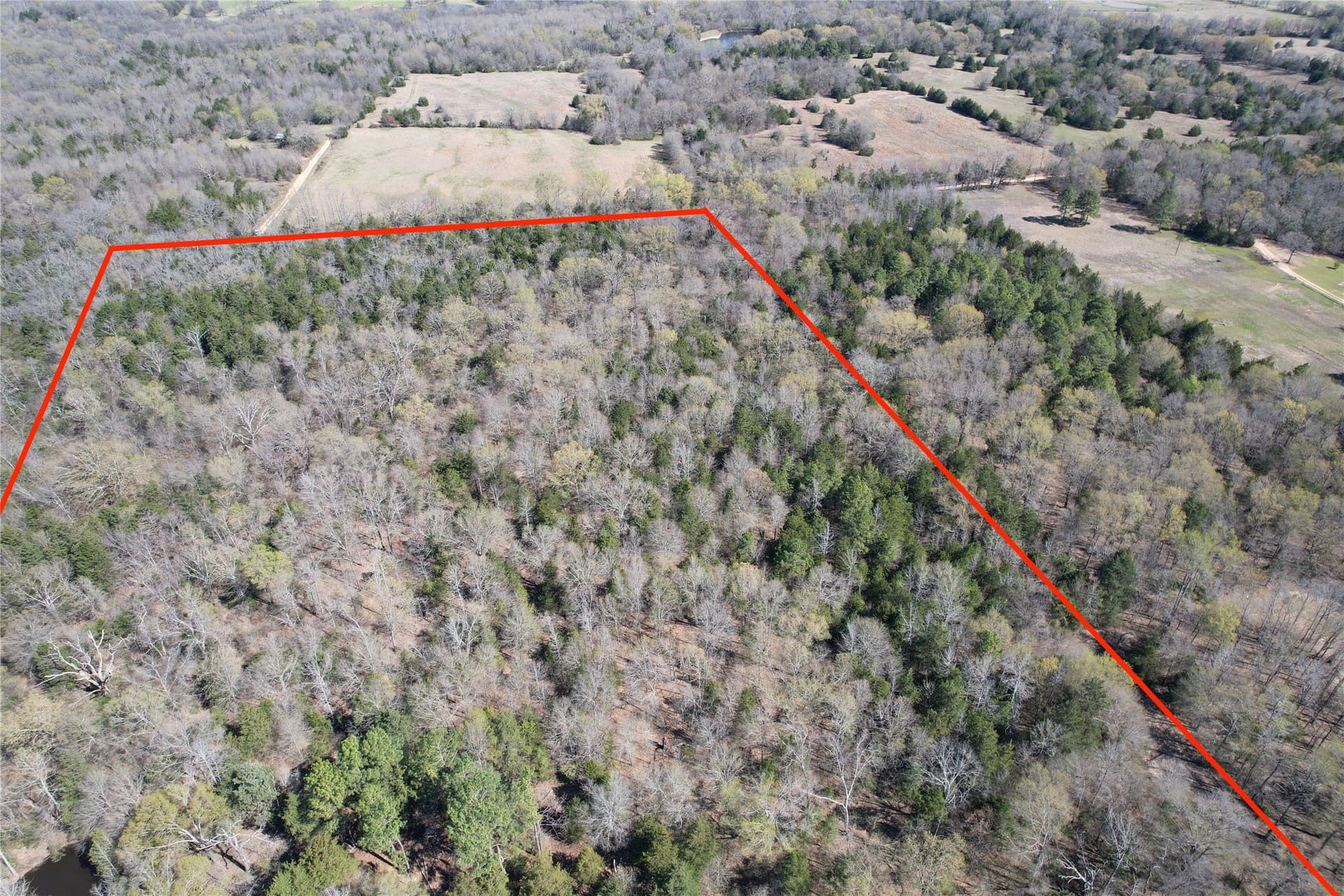 21.07 acres in Wood County - photo 17
