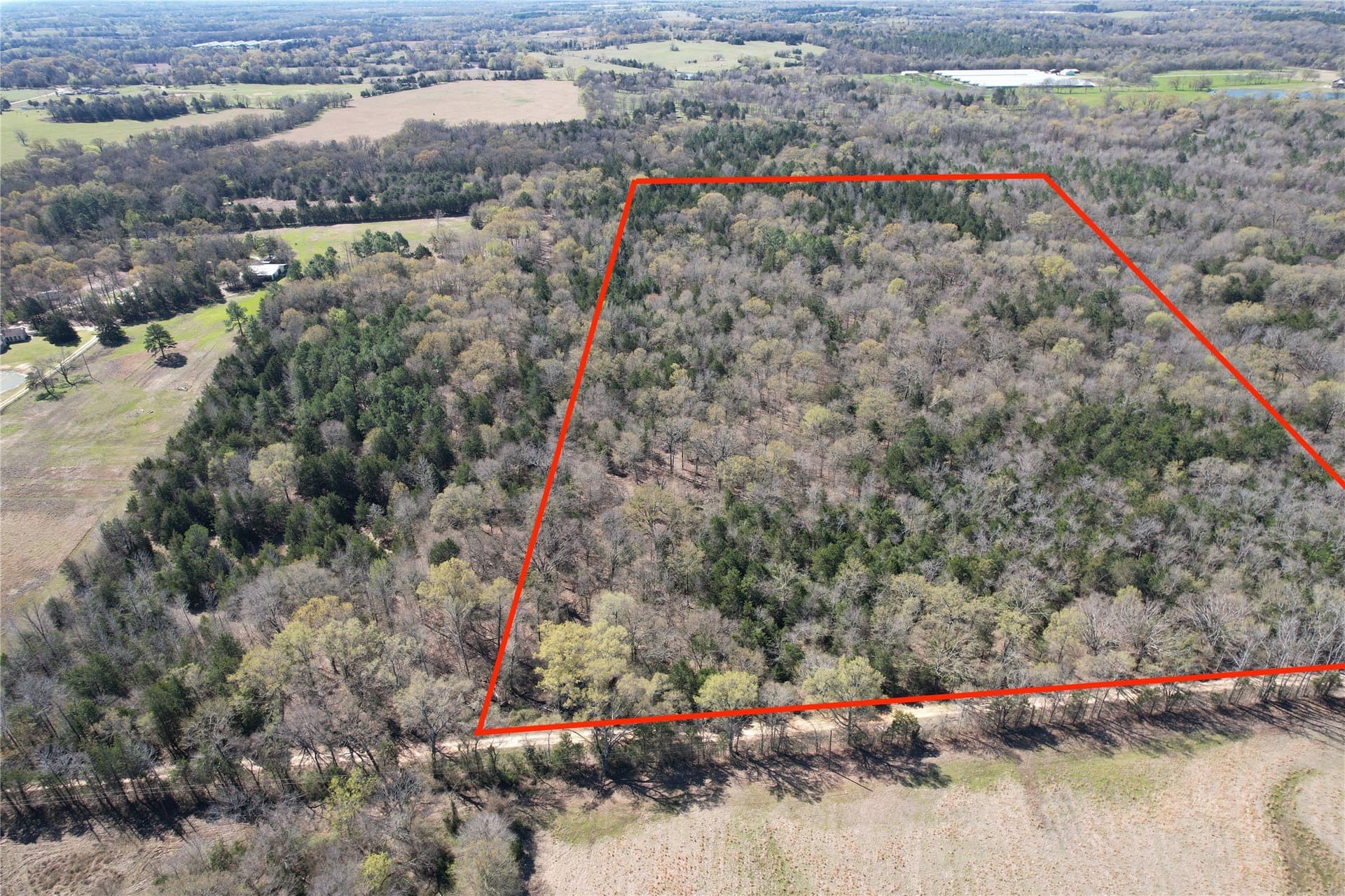 21.07 acres in Wood County - photo 32