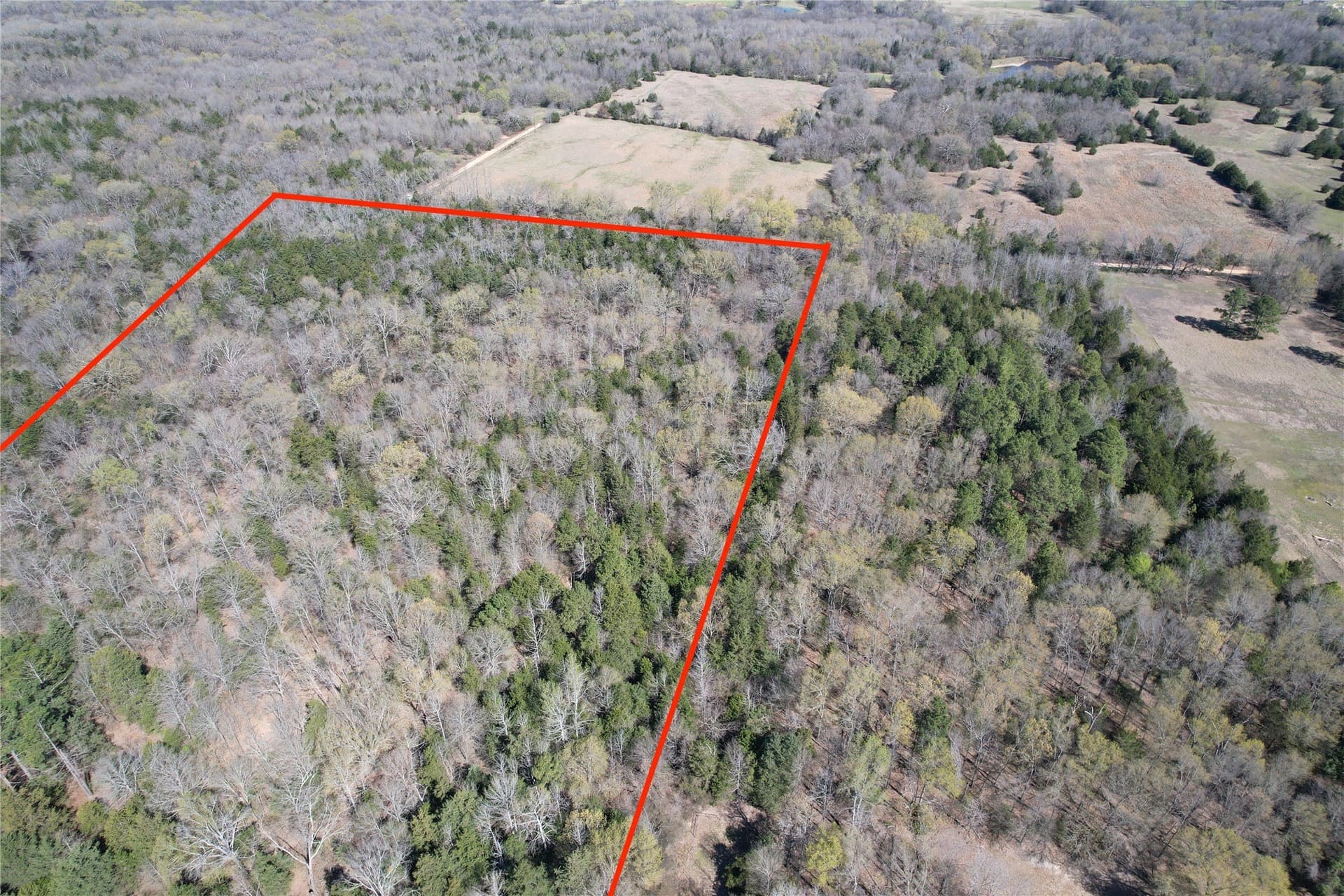 21.07 acres in Wood County - photo 14