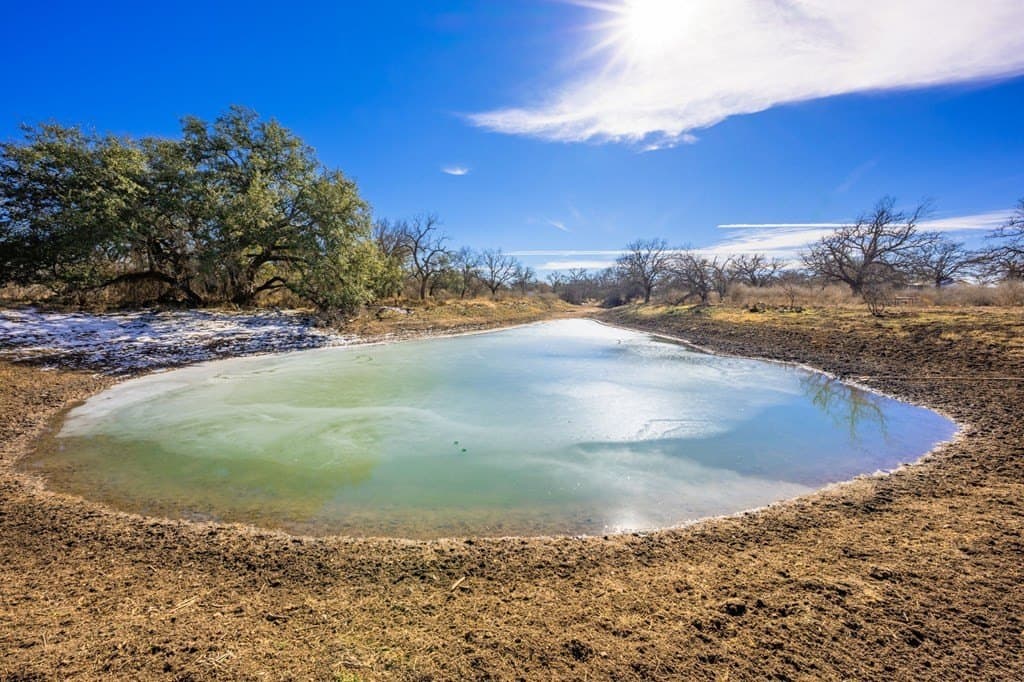 122 acres in Mason County gallery image 4