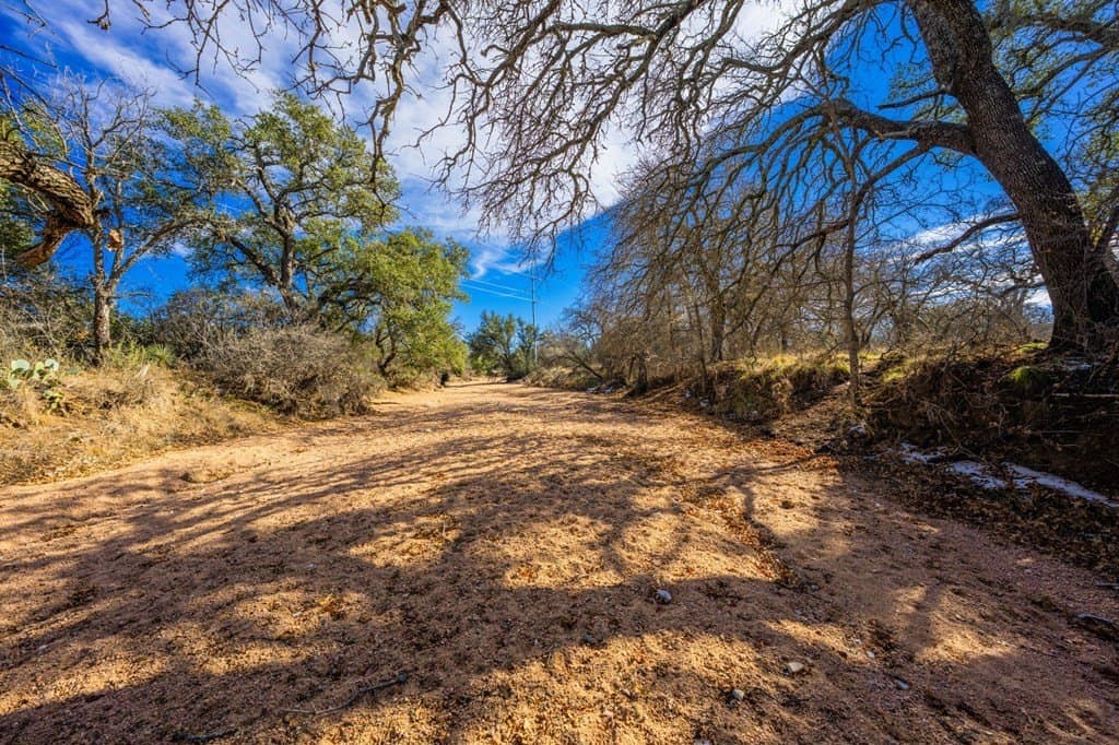 122 acres in Mason County gallery image 3