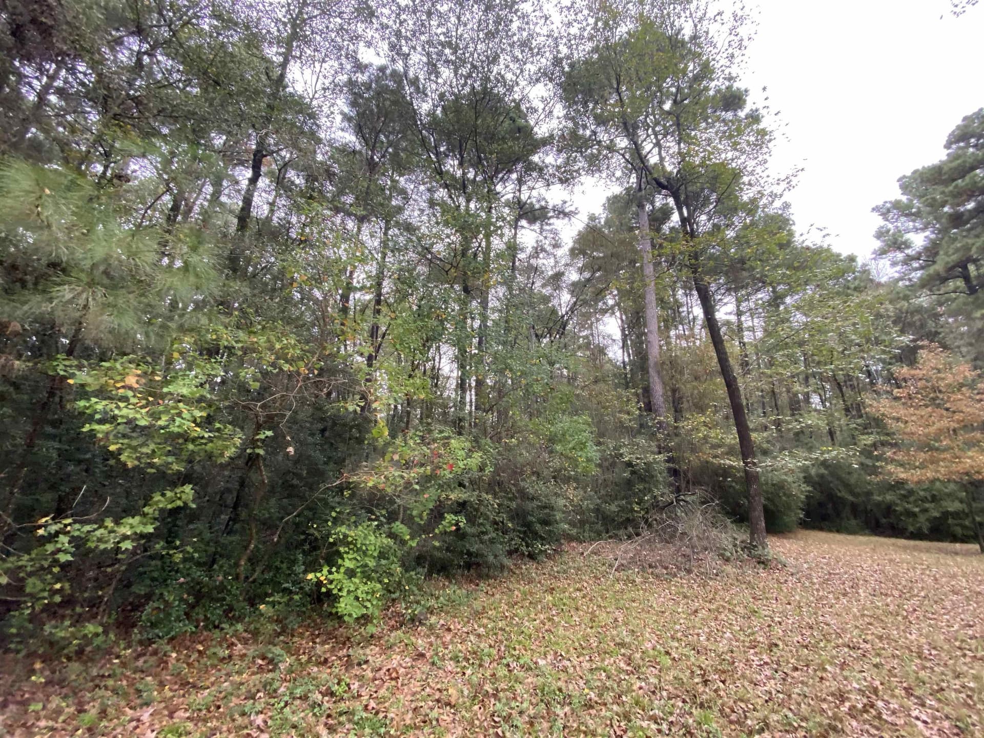 9.23 acres in Shelby County - photo 11