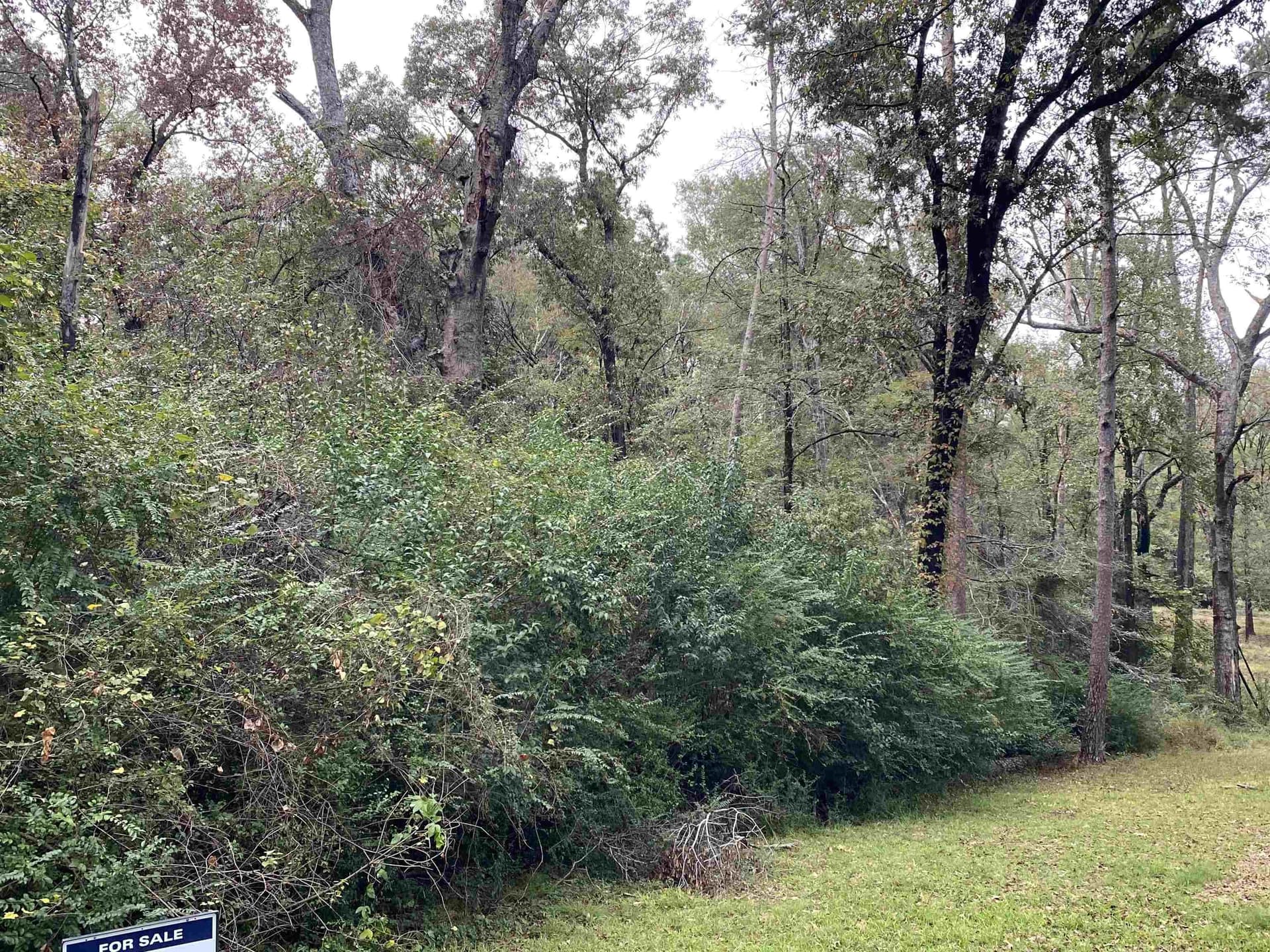 9.23 acres in Shelby County - photo 9