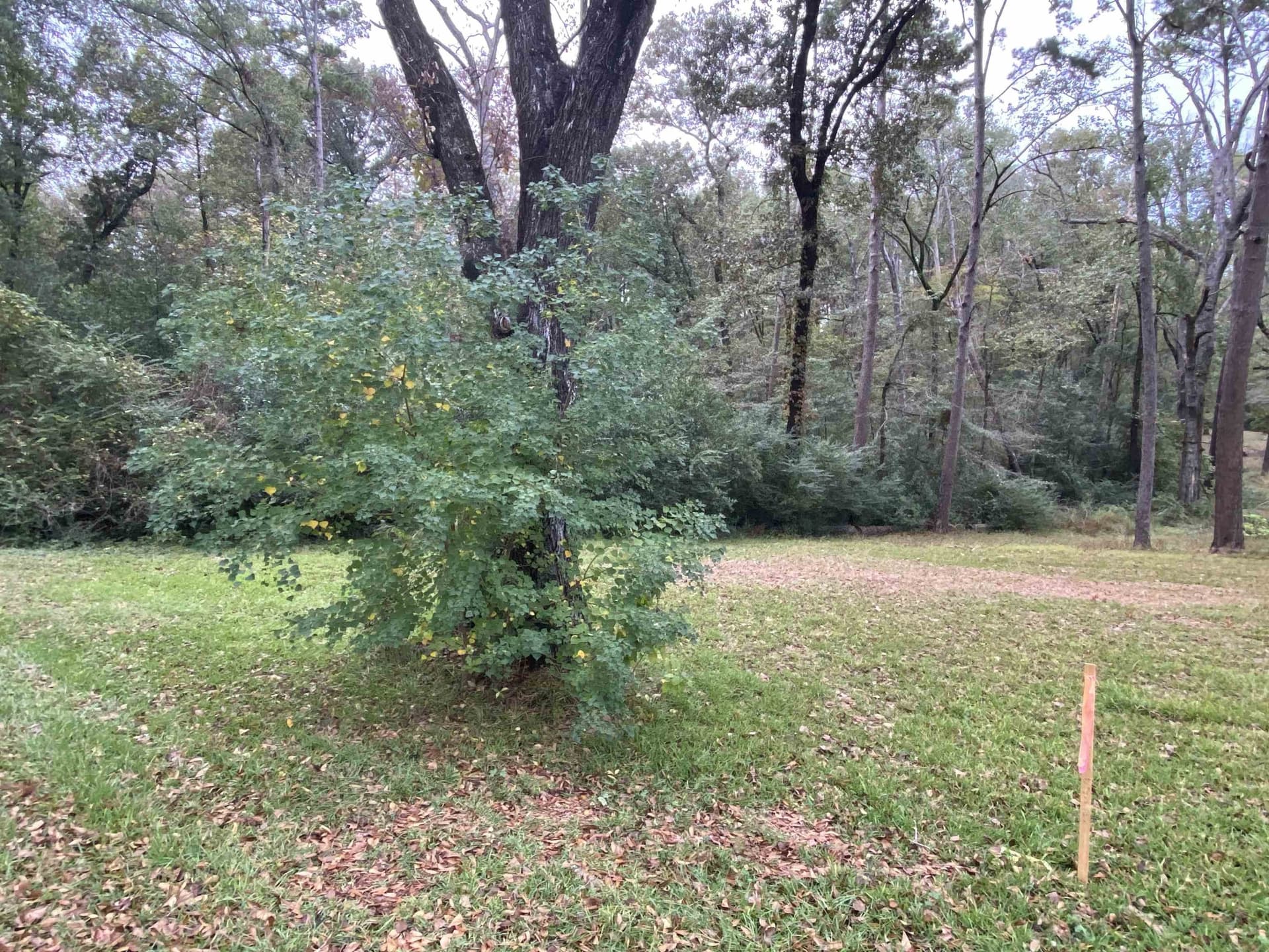 9.23 acres in Shelby County - photo 5