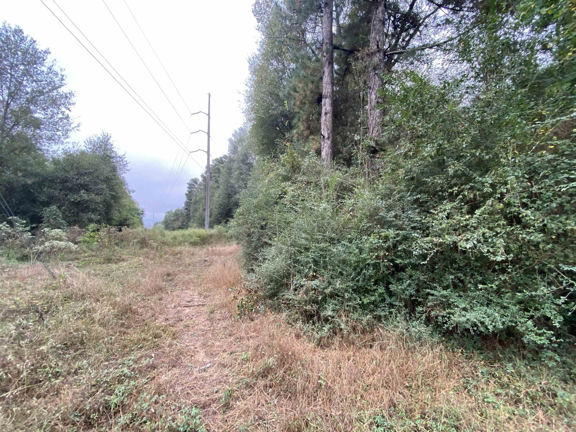 9.23 acres in Shelby County - photo 16