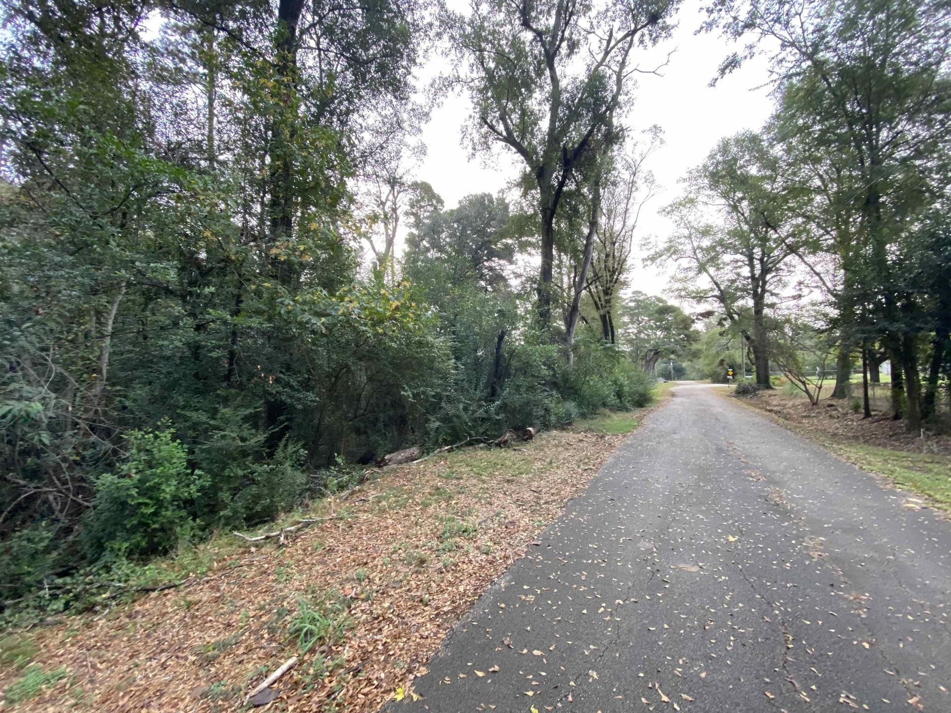 9.23 acres in Shelby County - photo 4