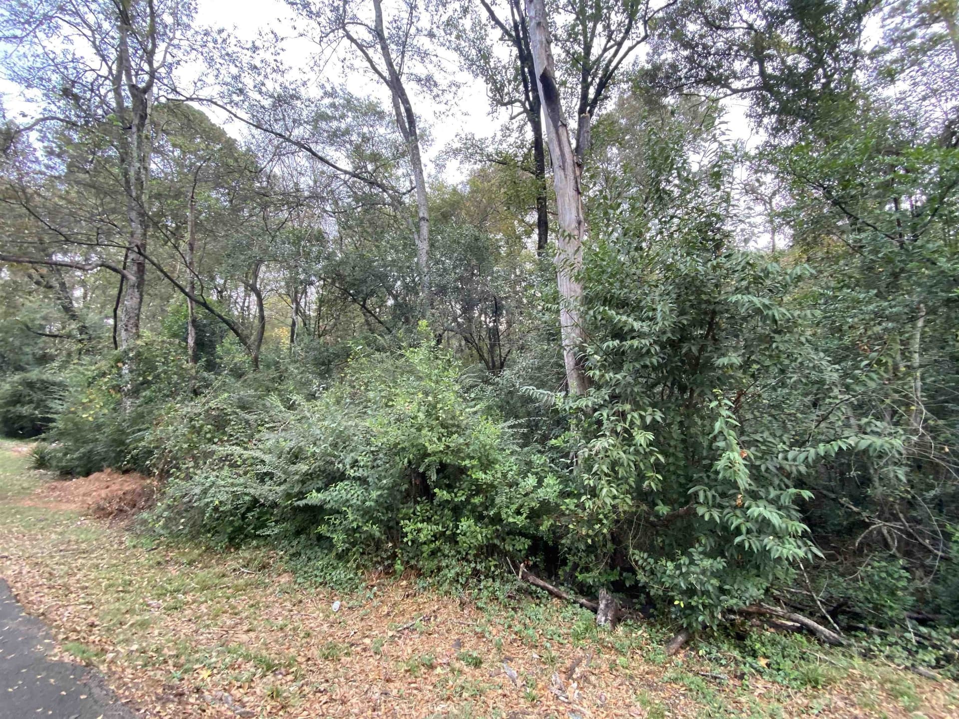 9.23 acres in Shelby County - photo 8