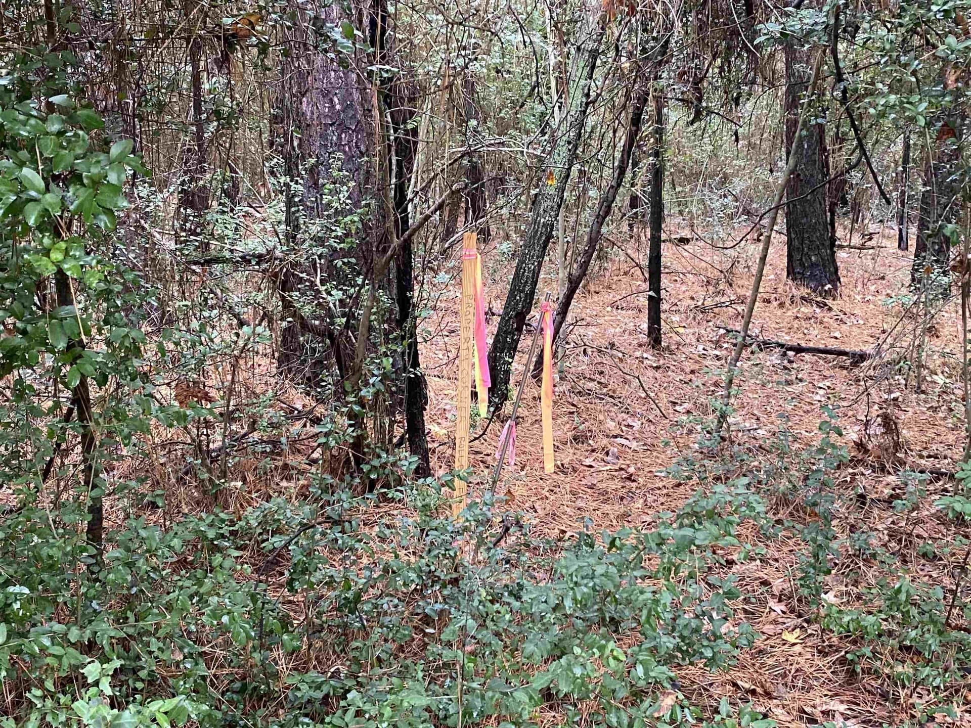 9.23 acres in Shelby County - photo 12