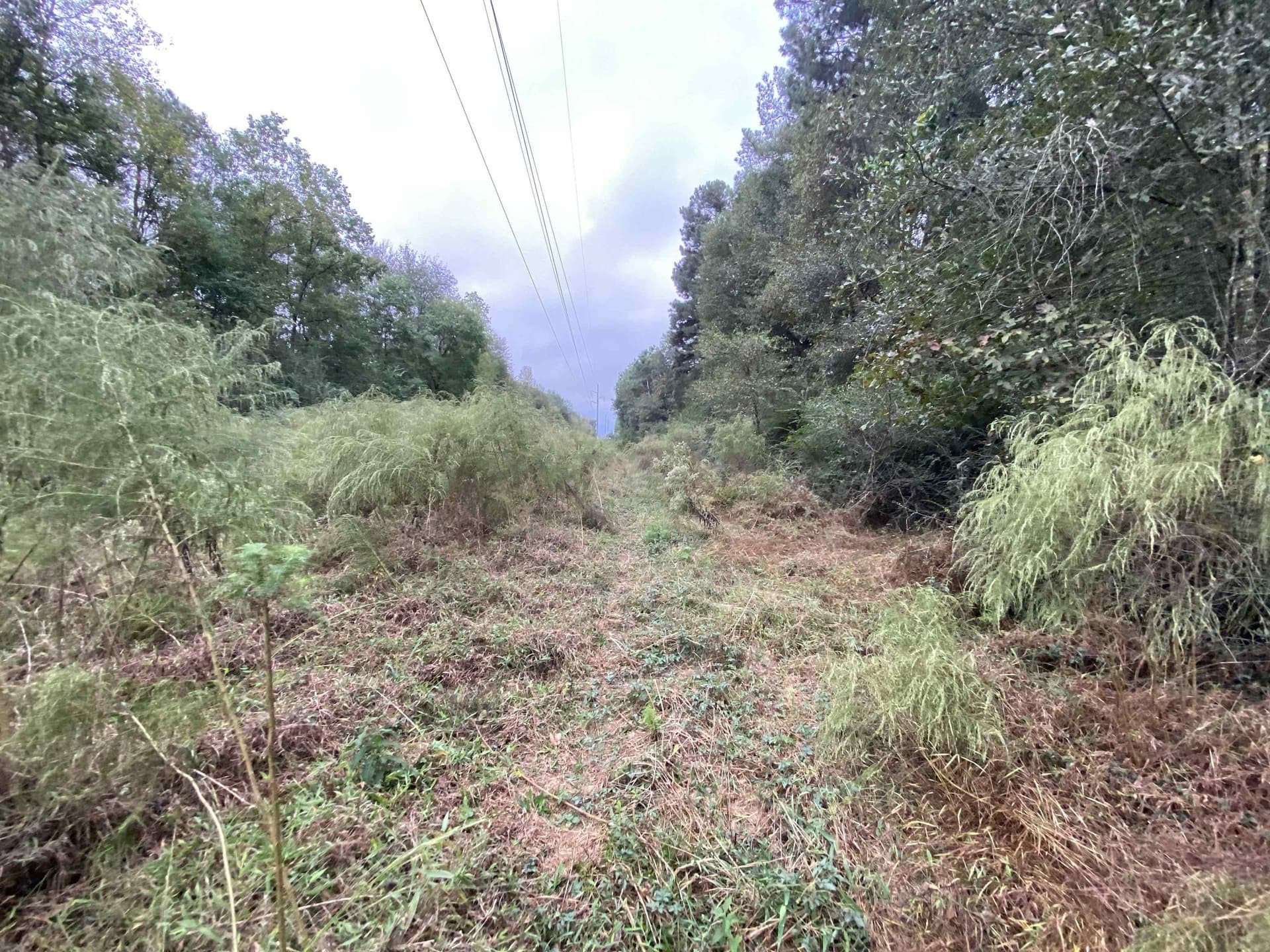 9.23 acres in Shelby County - photo 17