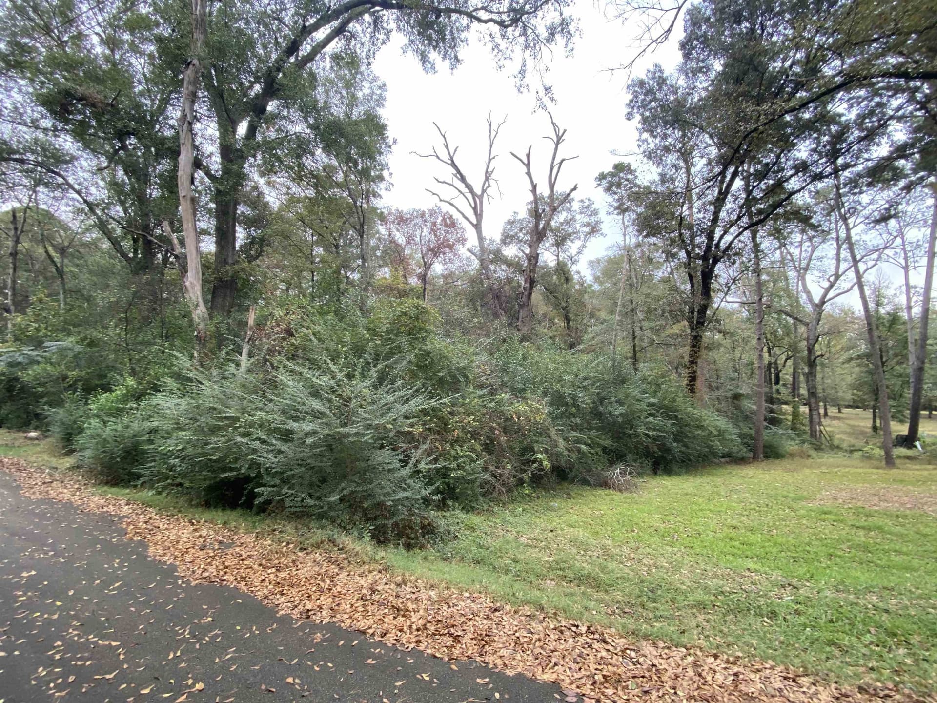 9.23 acres in Shelby County - photo 3