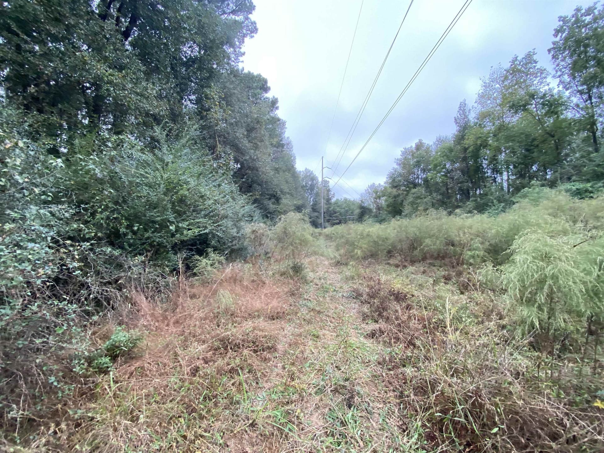 9.23 acres in Shelby County - photo 15