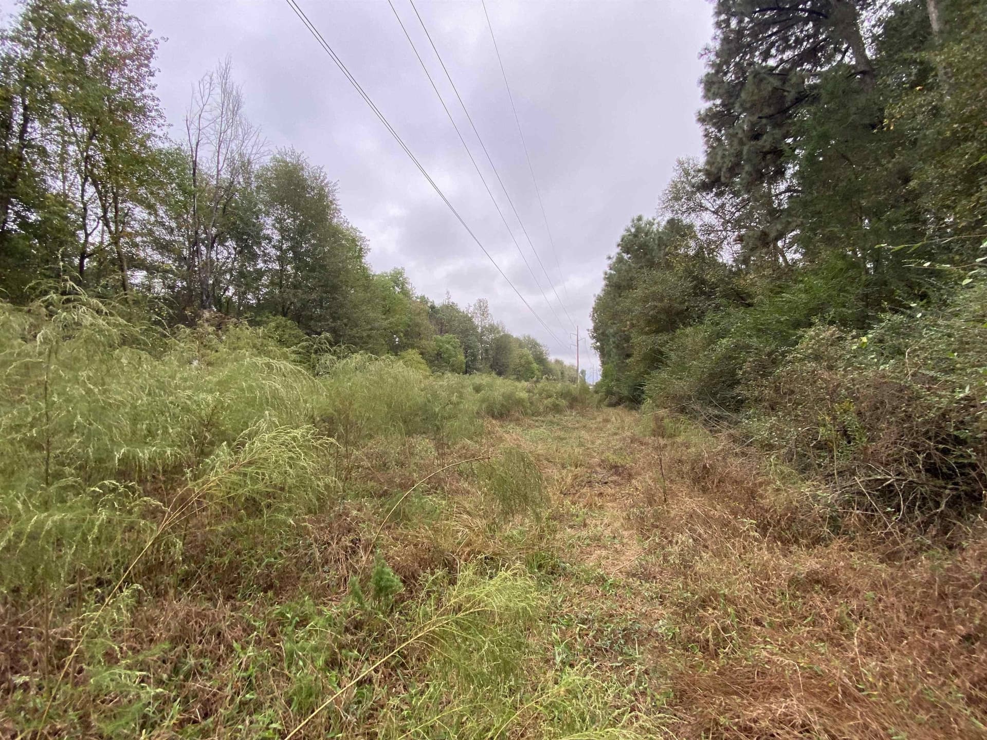 9.23 acres in Shelby County - photo 20
